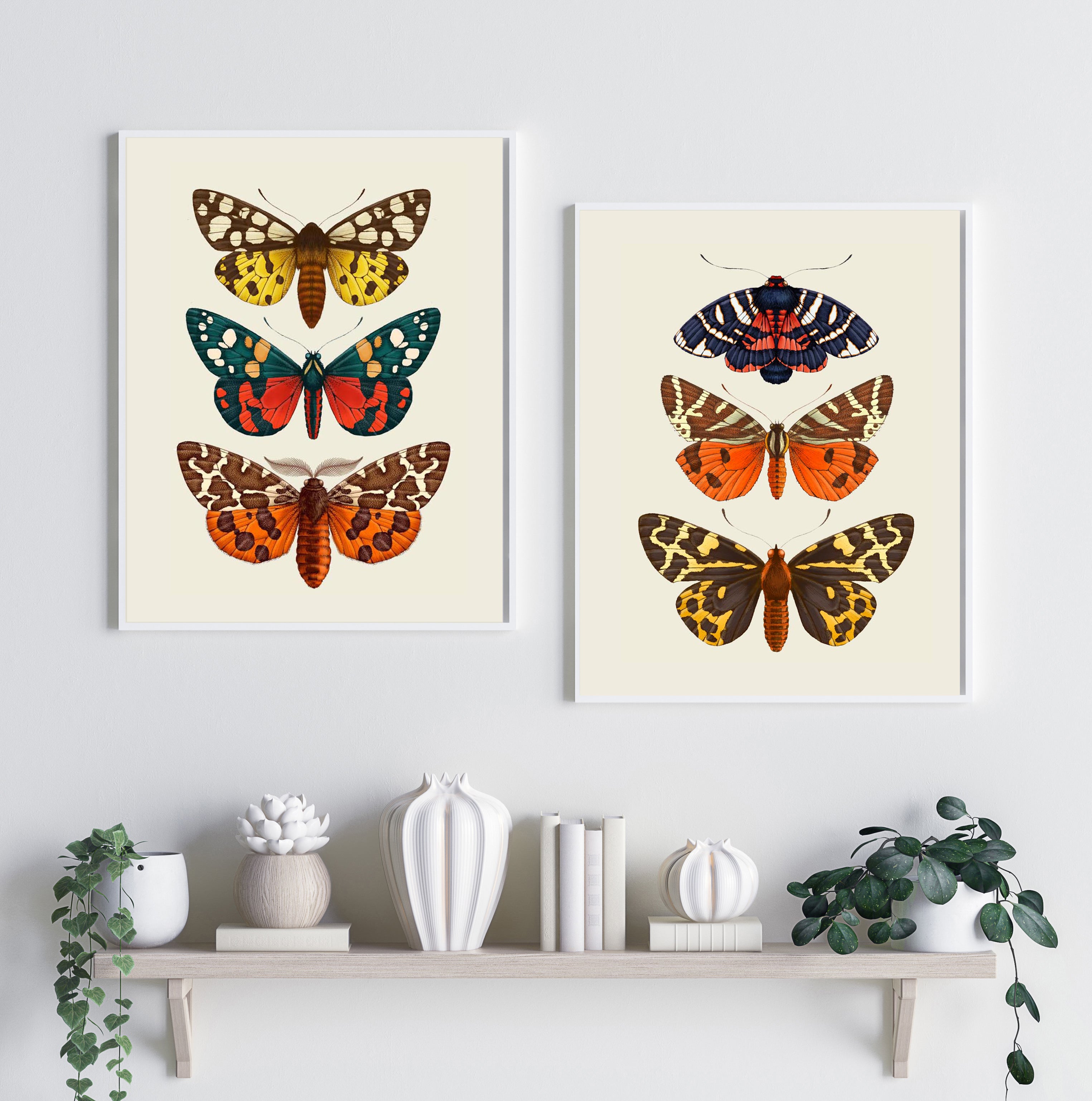 'Antique British Moths' Fine Art Print