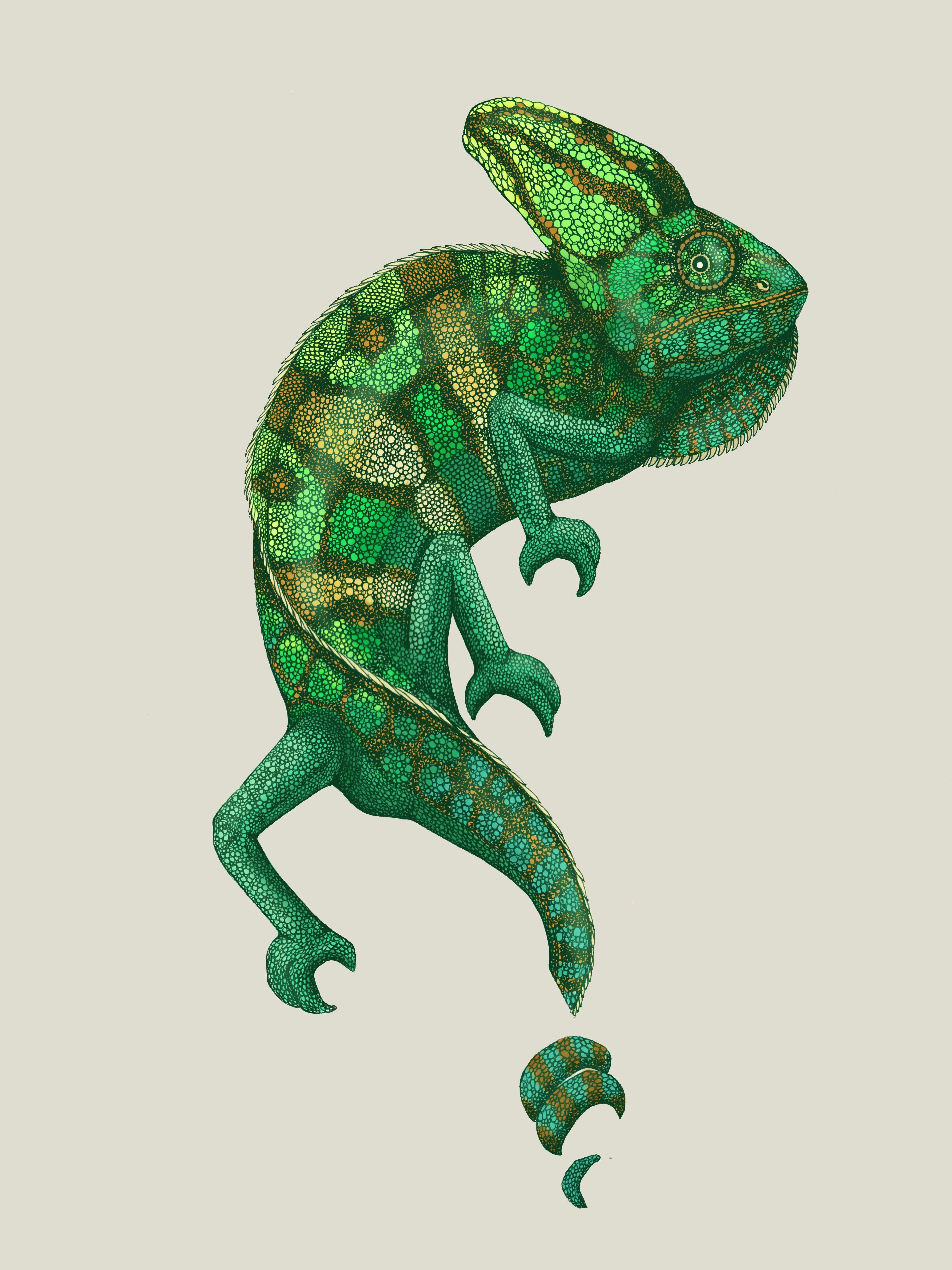 'Antique Chameleon' Fine Art Print