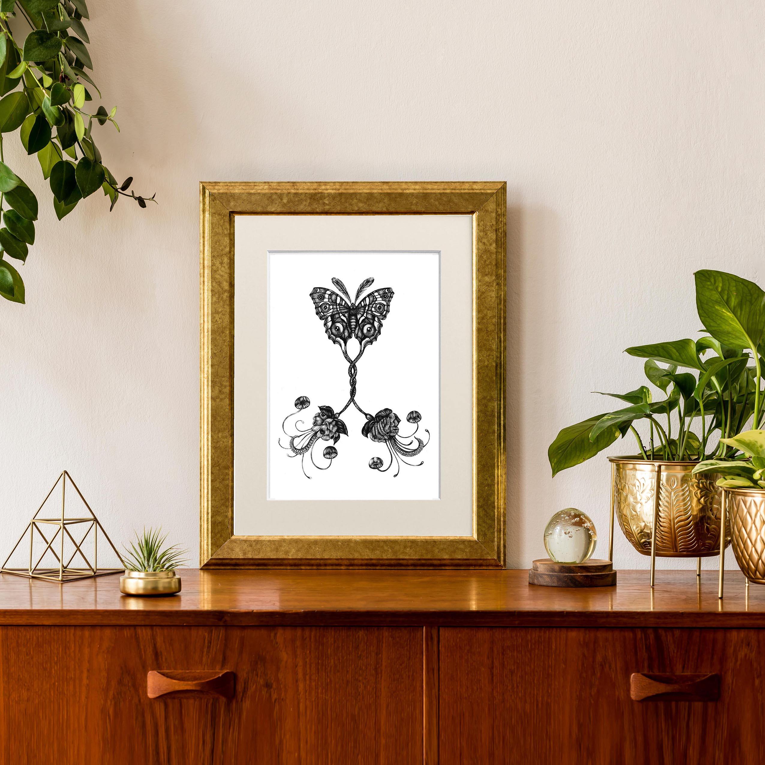 'Coenia Oculus' Fine Art Print - Emily Carter London