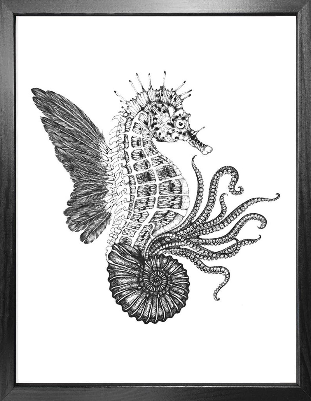 'Ammonautilae' Fine Art Print