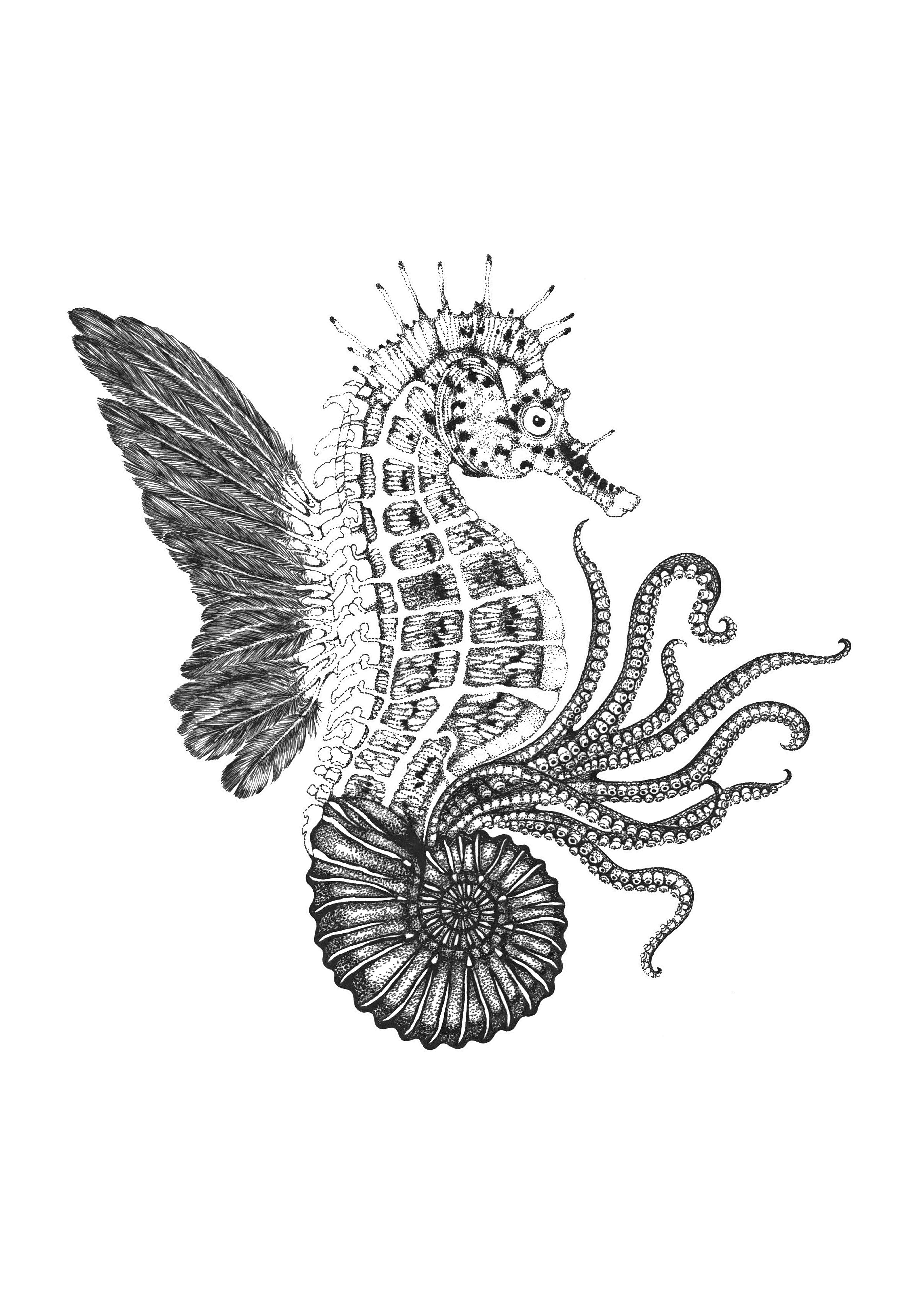 'Ammonautilae' Fine Art Print - Emily Carter London