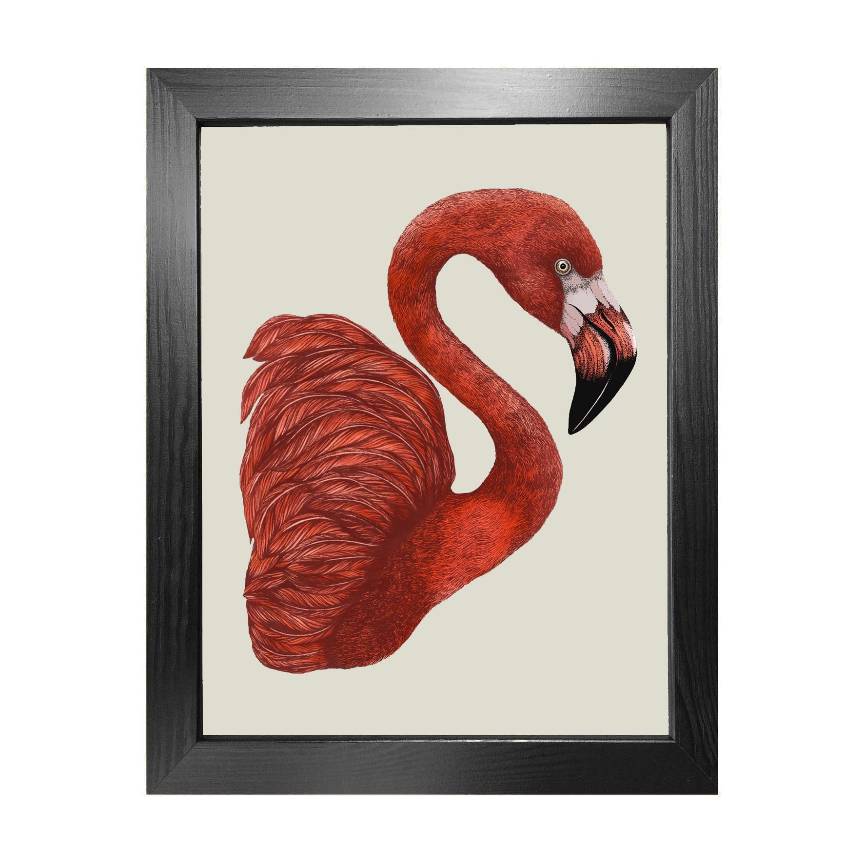 'Antique Flamingo II' Fine Art Print