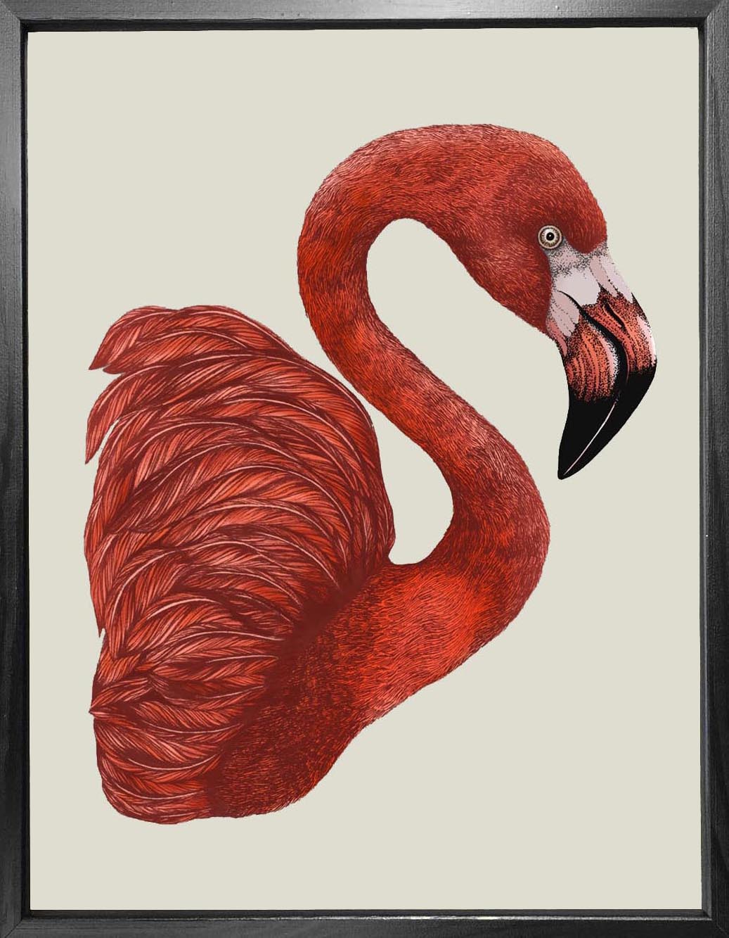 'Antique Flamingo II' Fine Art Print