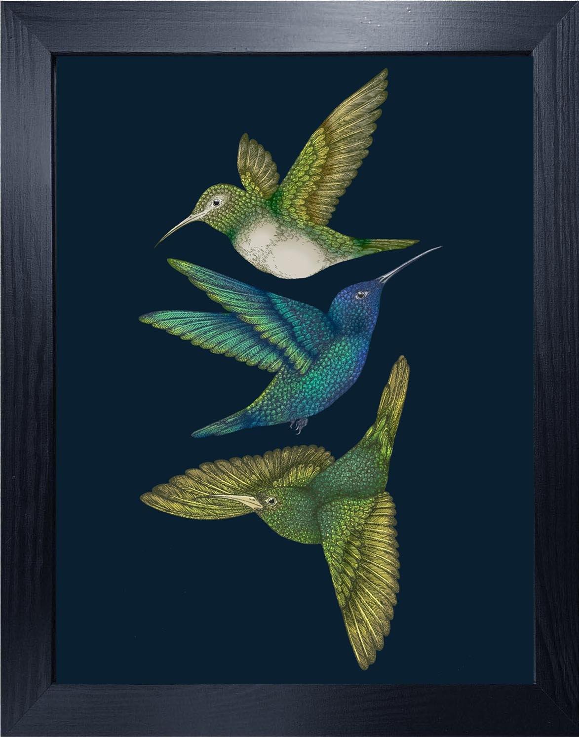 'Antique Hummingbirds III' Indigo Fine Art Print - Emily Carter London