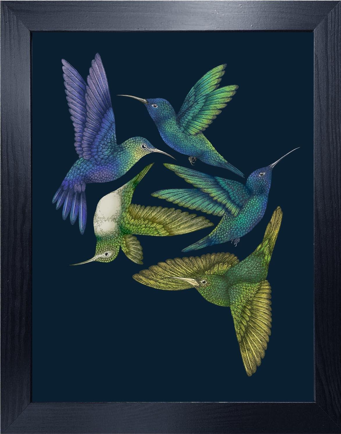 'Antique Hummingbirds I' Indigo Fine Art Print - Emily Carter London
