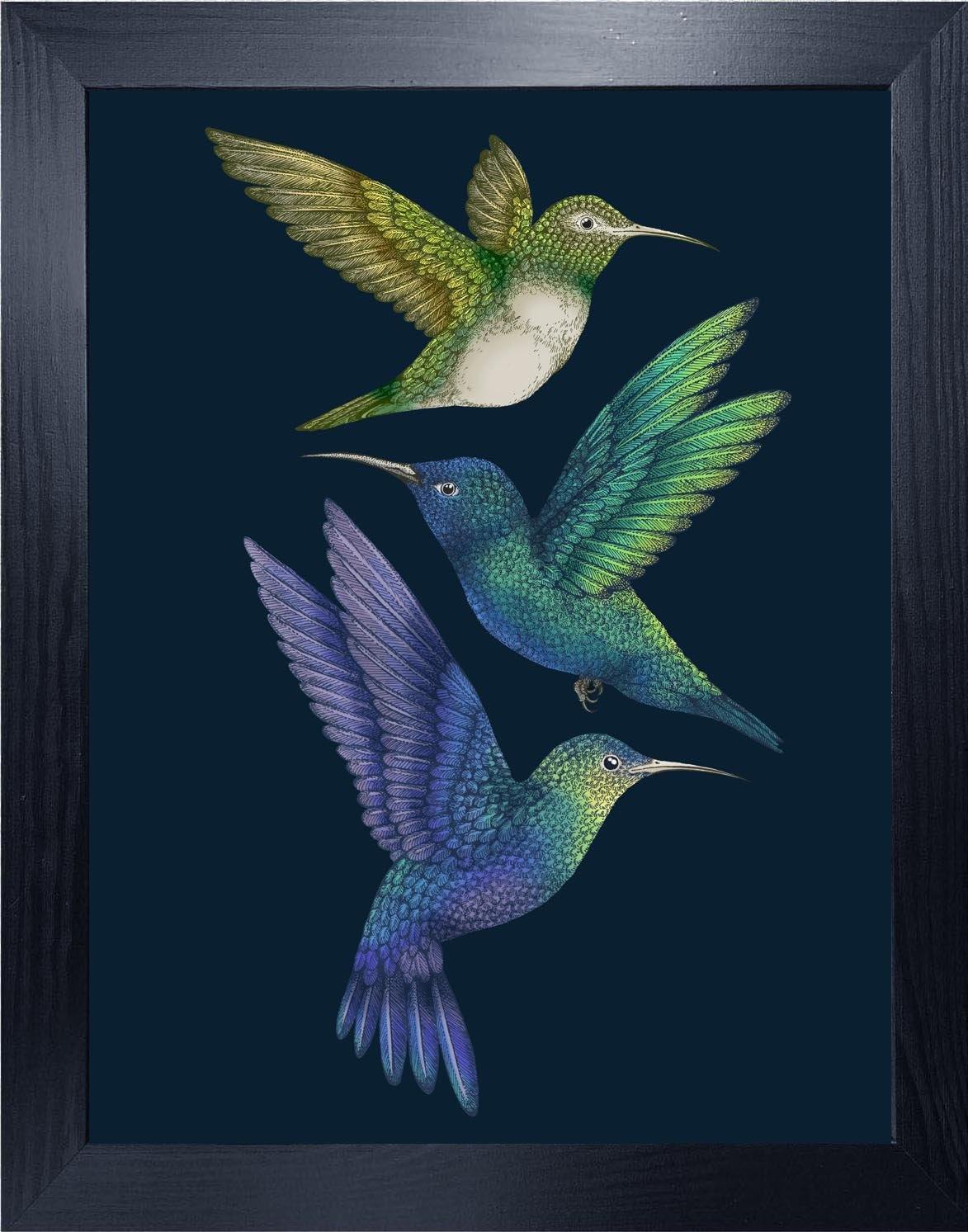 'Antique Hummingbirds II' Indigo Fine Art Print - Emily Carter London