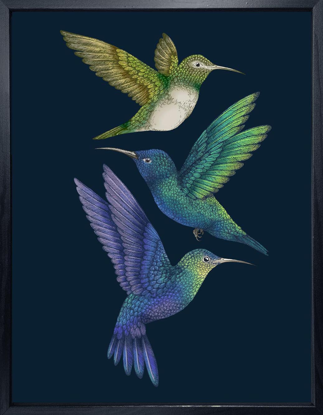 'Antique Hummingbirds II' Indigo Fine Art Print