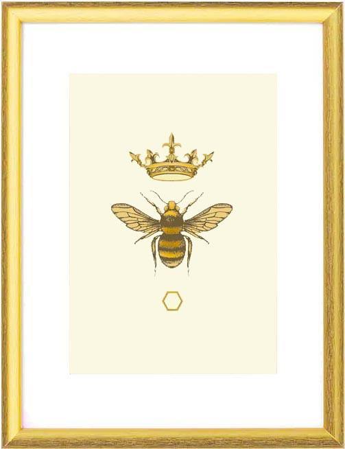 'Antique Honey Queen Bee' Fine Art Print - Emily Carter London