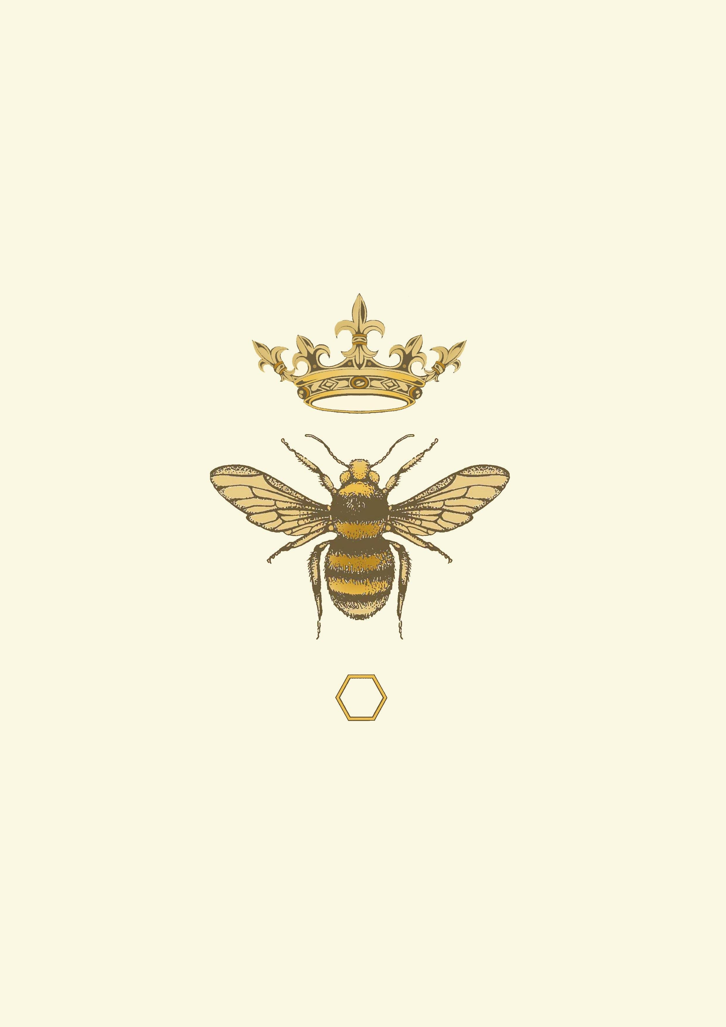 'Antique Honey Queen Bee' Fine Art Print - Emily Carter London