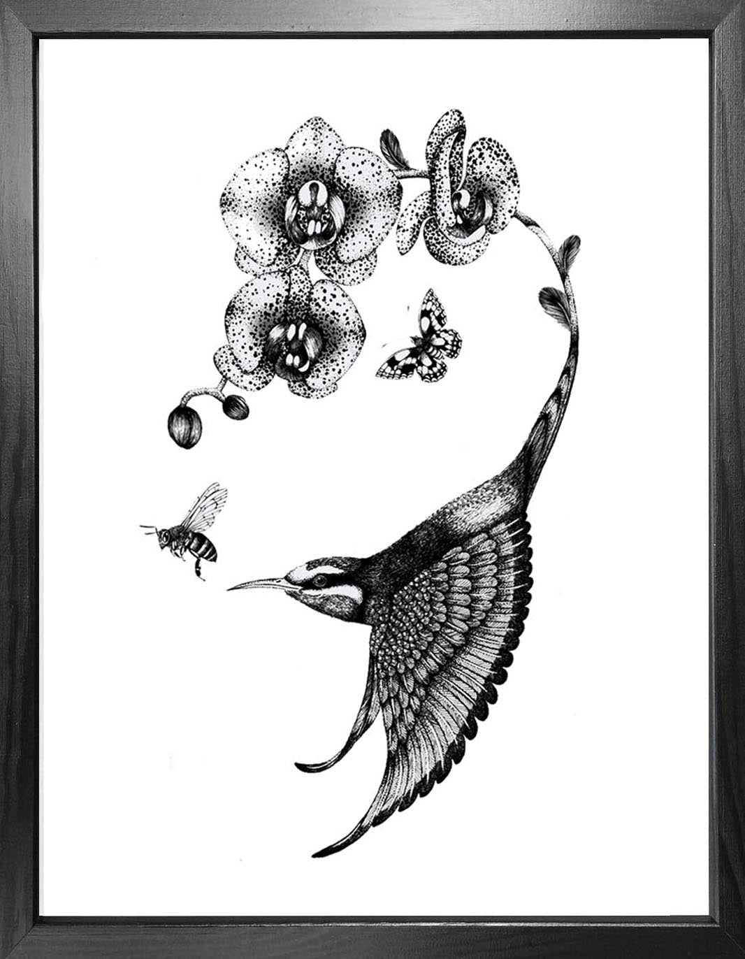 'Apiaster Orchidae' Fine Art Print