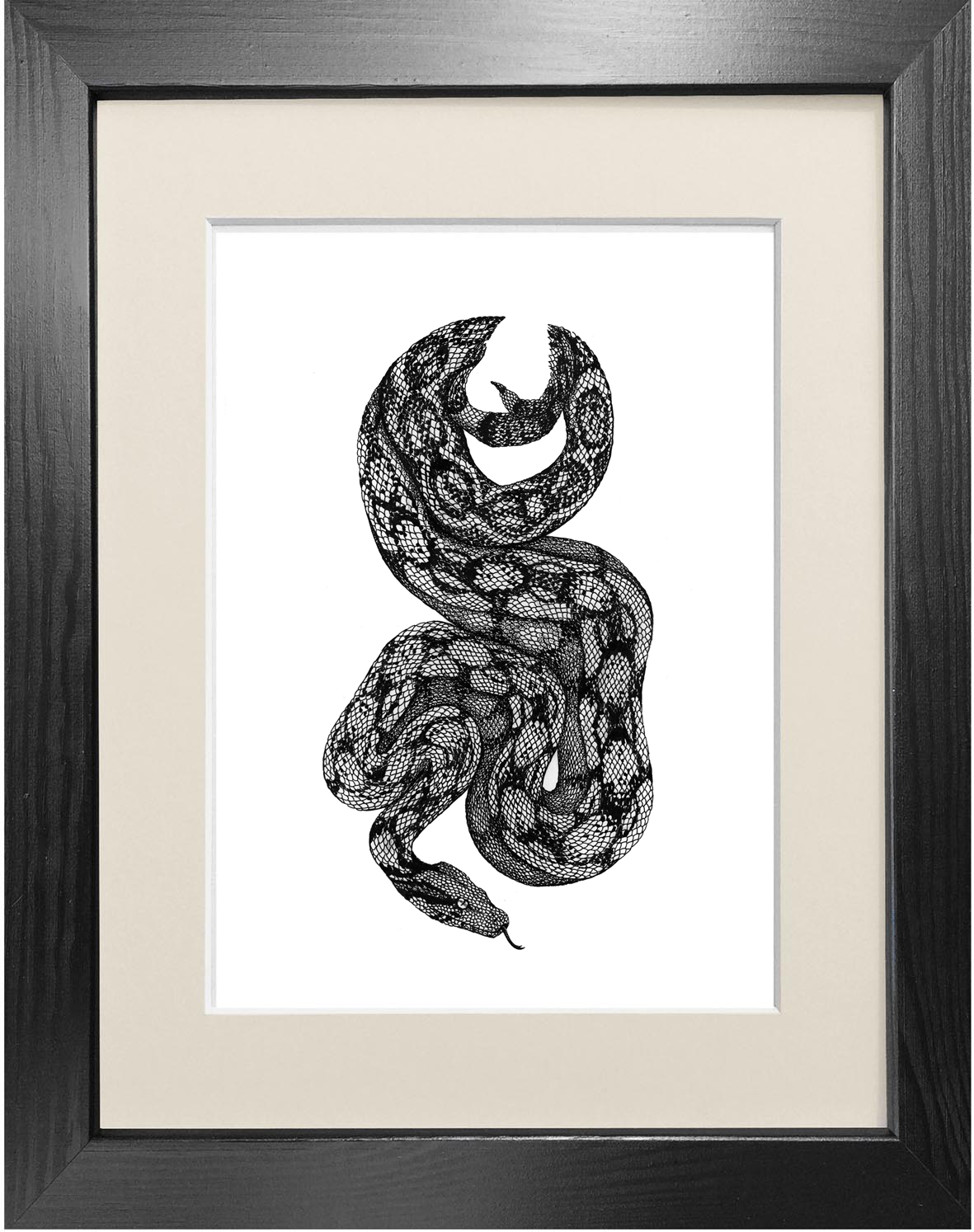 'Boa Constrictor' Fine Art Print - Emily Carter London