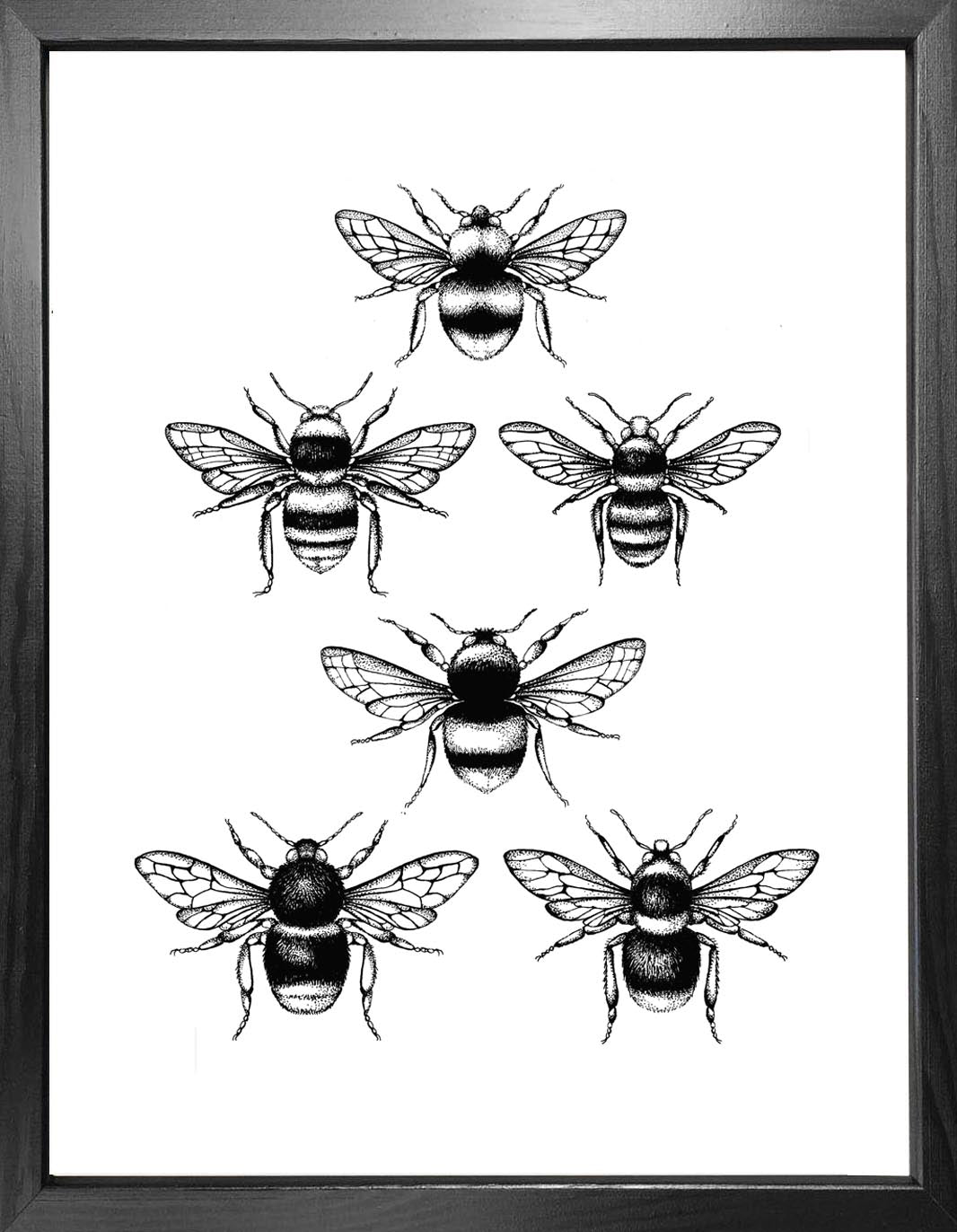 'British Bees' Fine Art Print