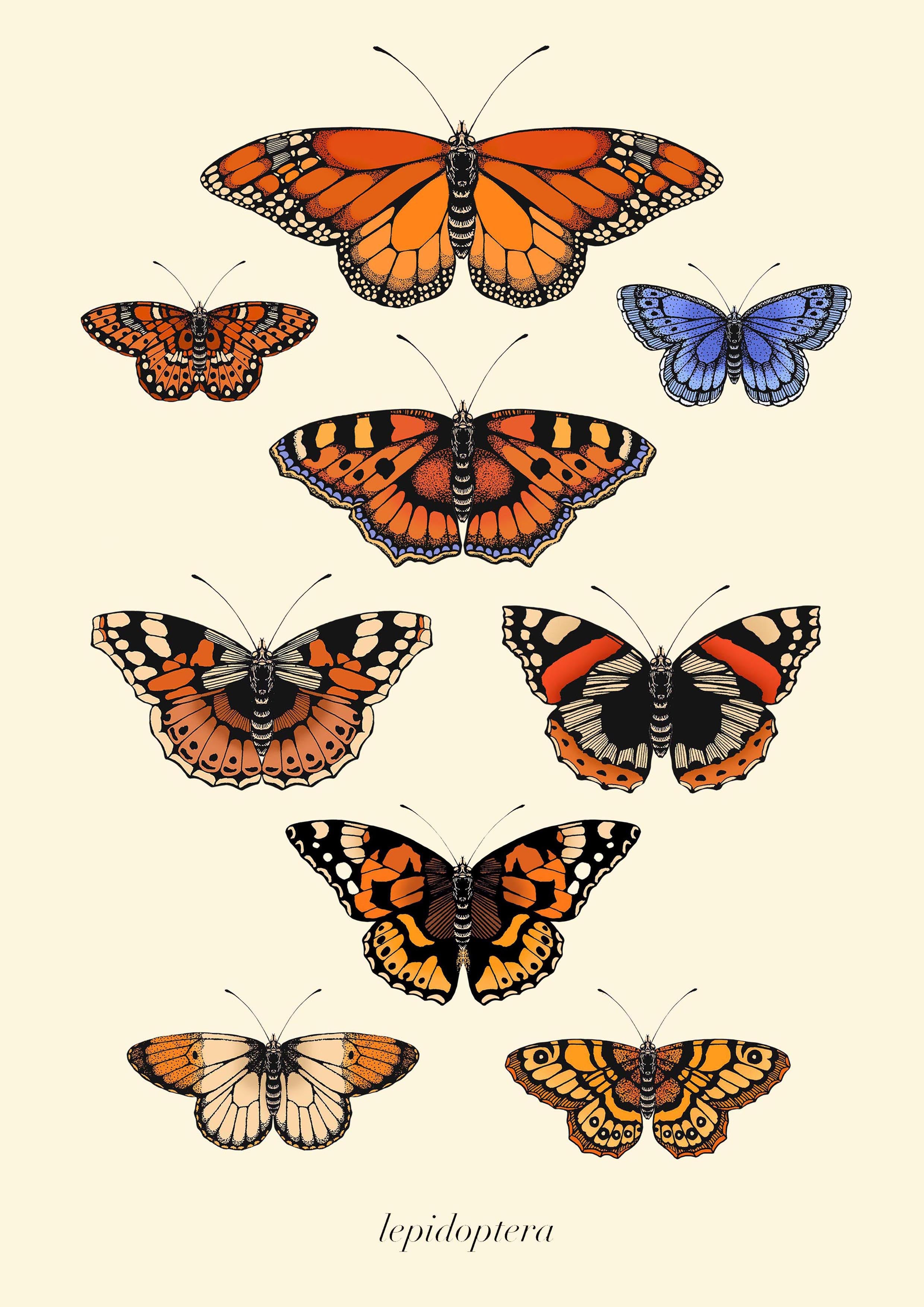 'Antique British Butterflies I' Fine Art Print