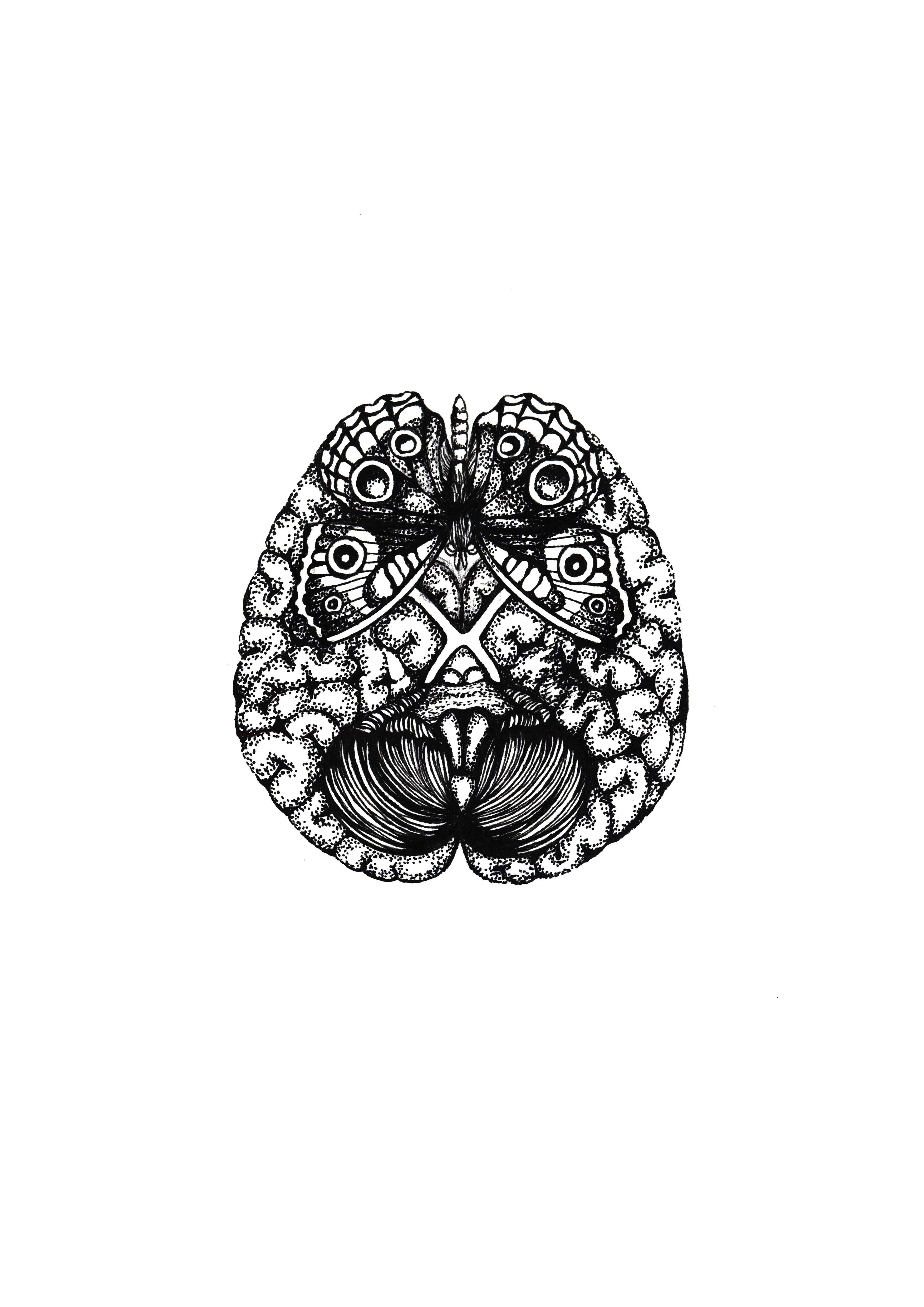 'Cerebellum' Fine Art Print - Emily Carter London