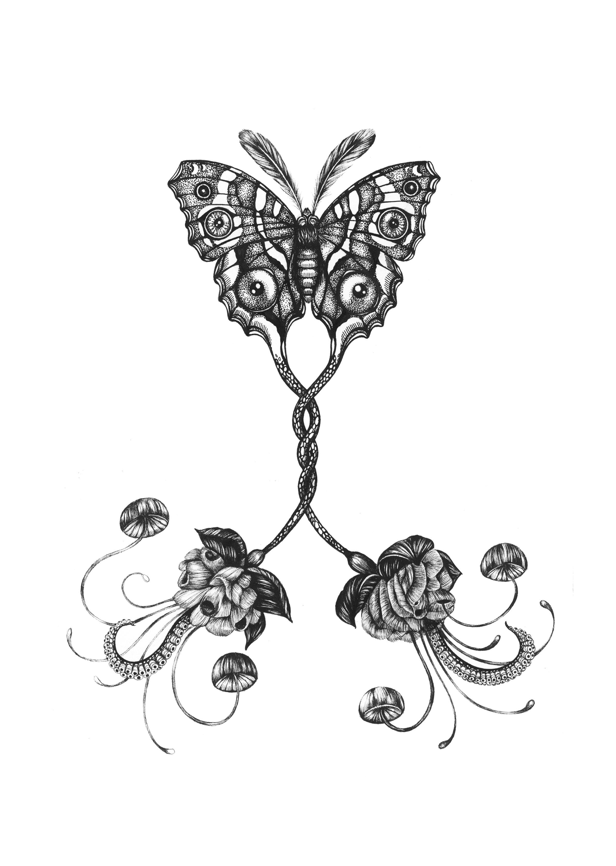 'Coenia Oculus' Fine Art Print - Emily Carter London