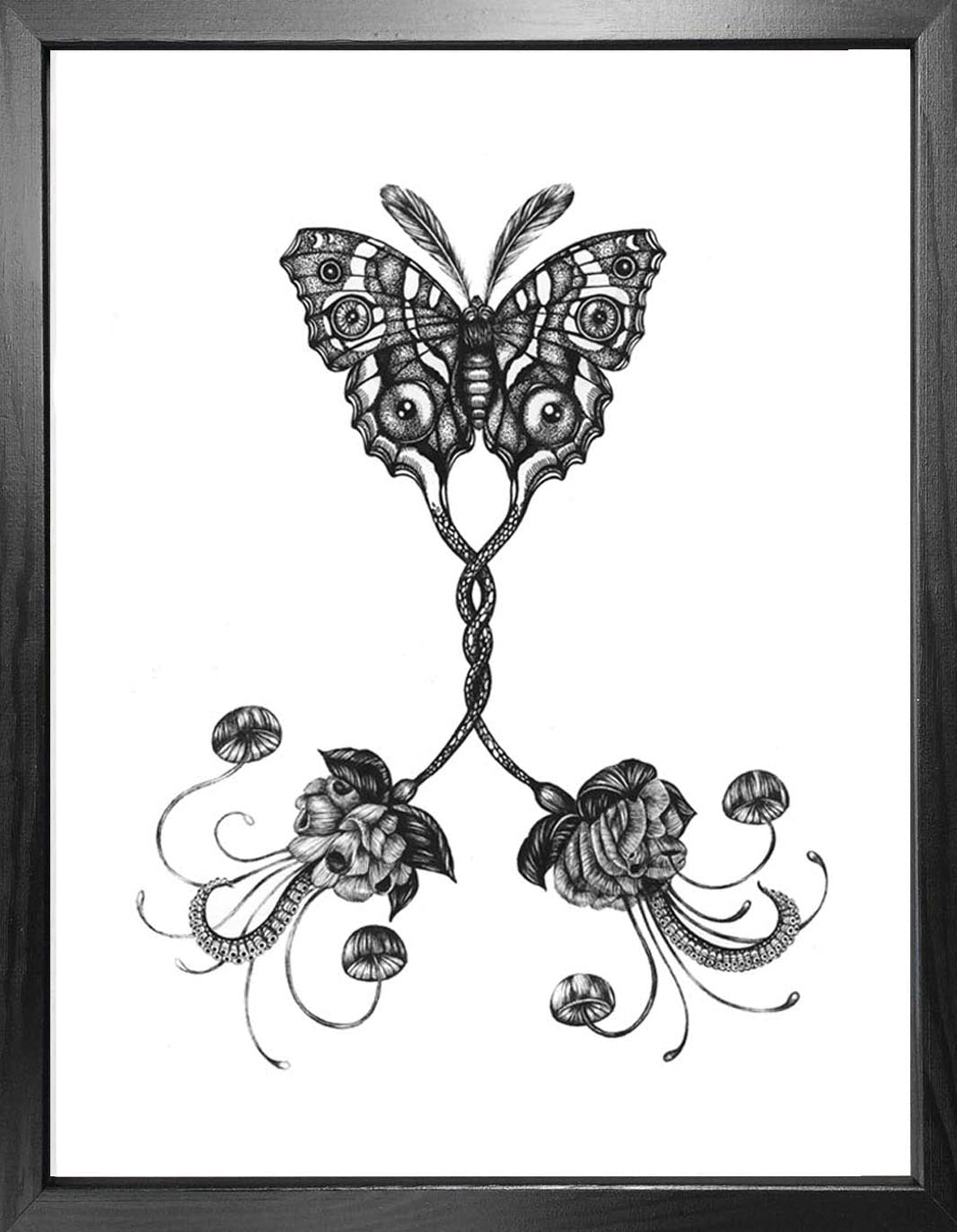 'Coenia Oculus' Fine Art Print