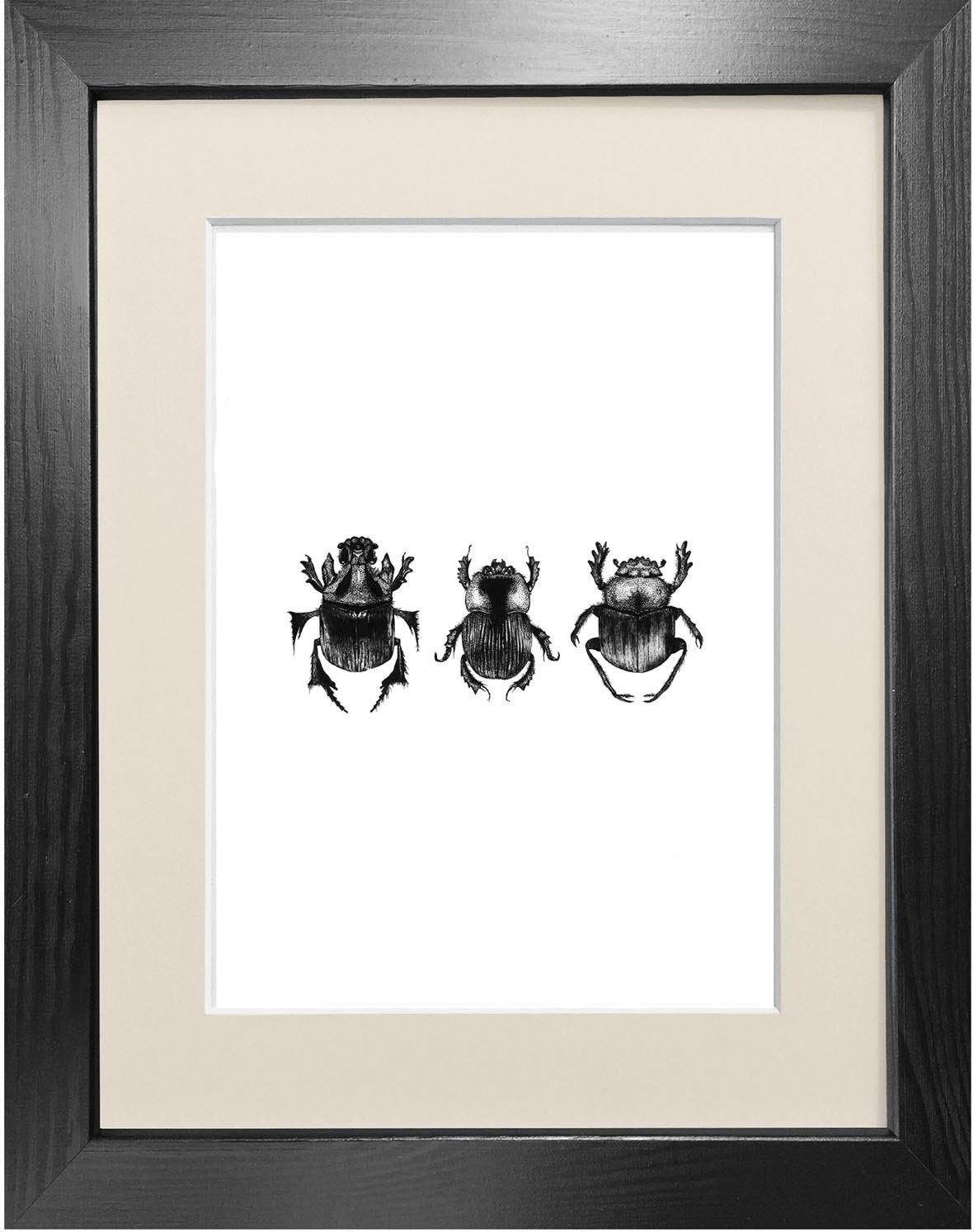 'Dung Beetles' Fine Art Print - Emily Carter London