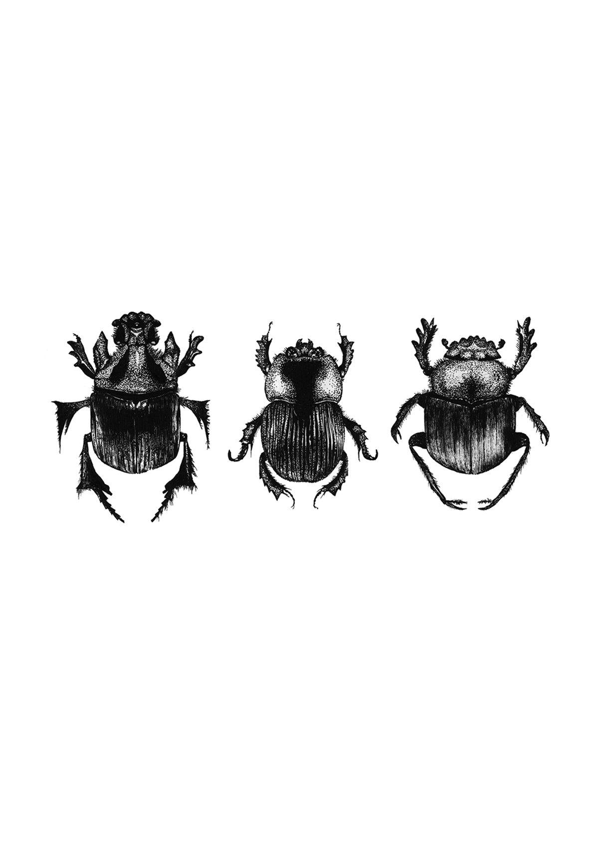 'Dung Beetles' Fine Art Print - Emily Carter London