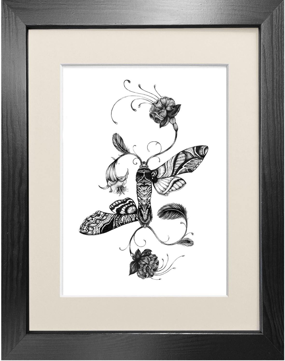 'Fuchsiadoptera' Fine Art Print - Emily Carter London