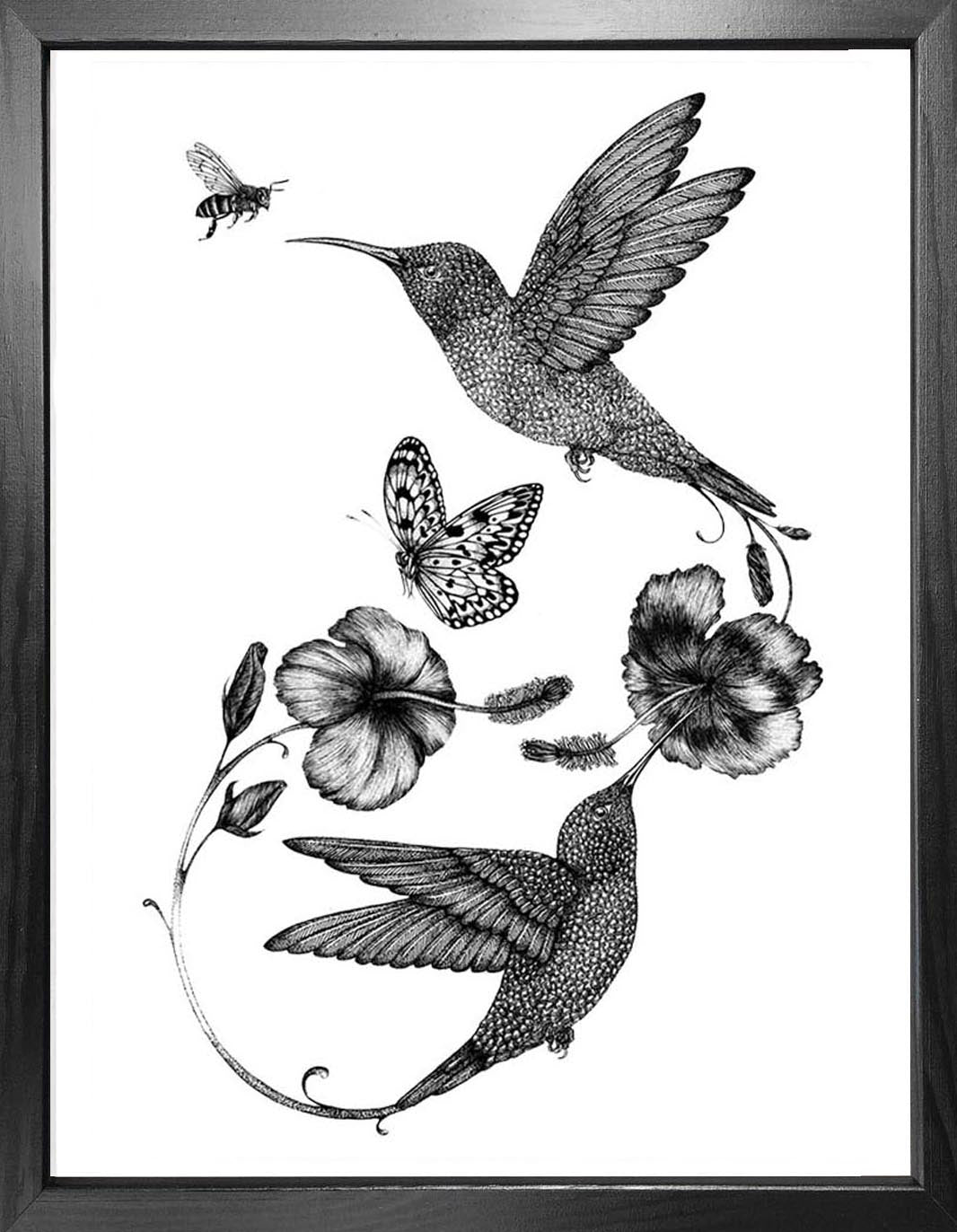 'Hummingbird & Hibiscus' Fine Art Print