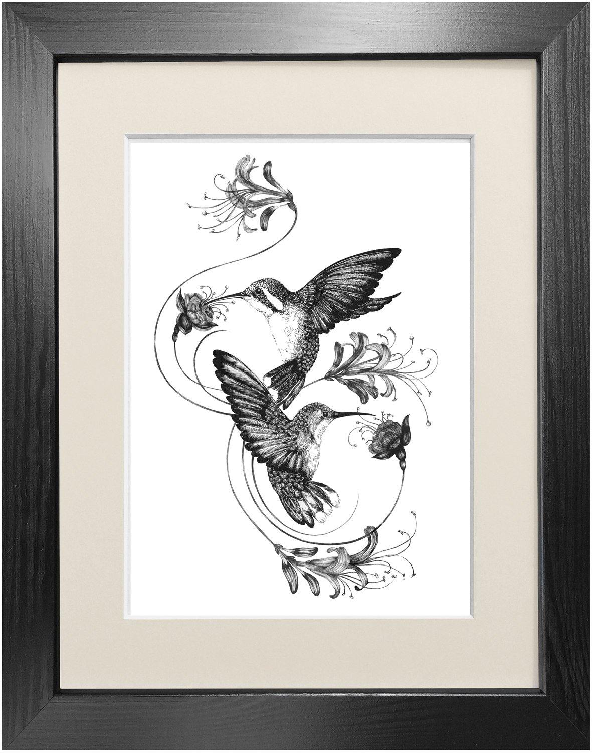 'Hummingbirds & Honeysuckle' Fine Art Print - Emily Carter London