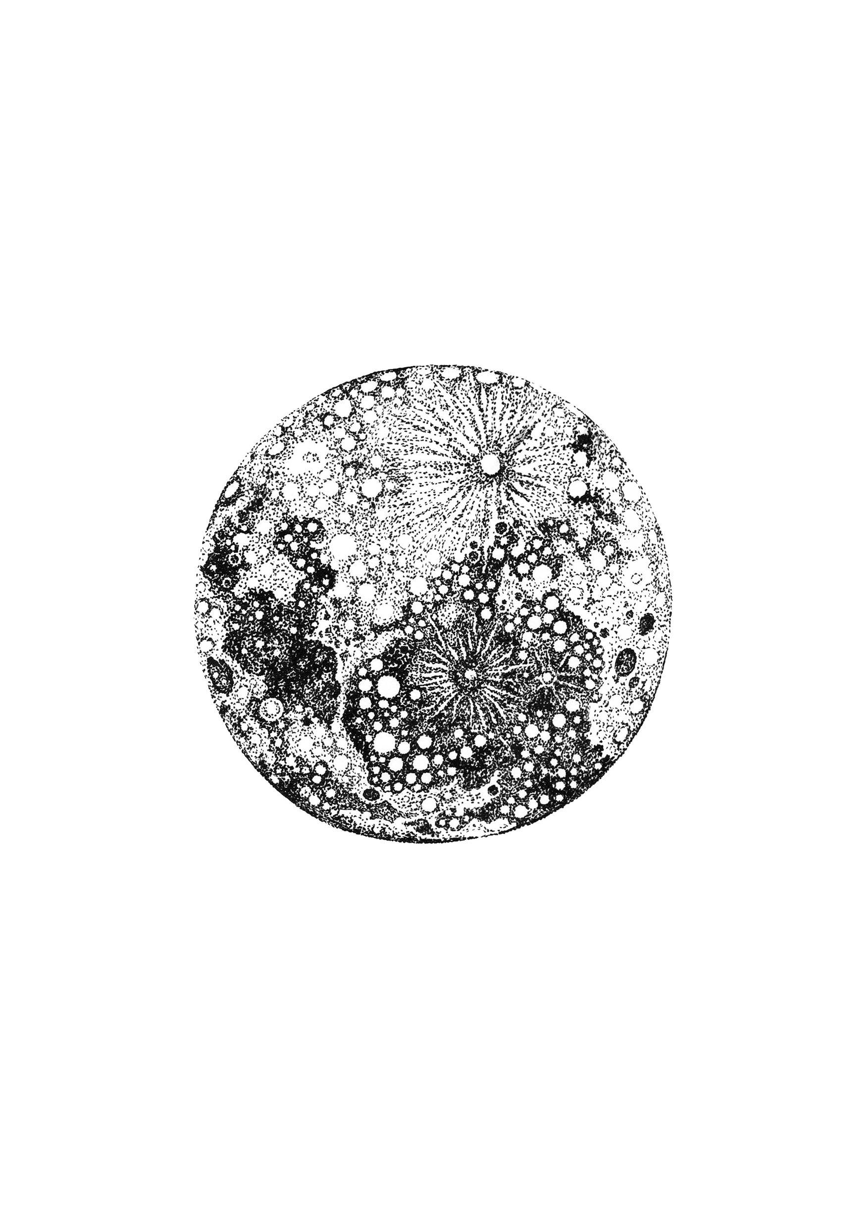 'Lunar' Fine Art Print - Emily Carter London