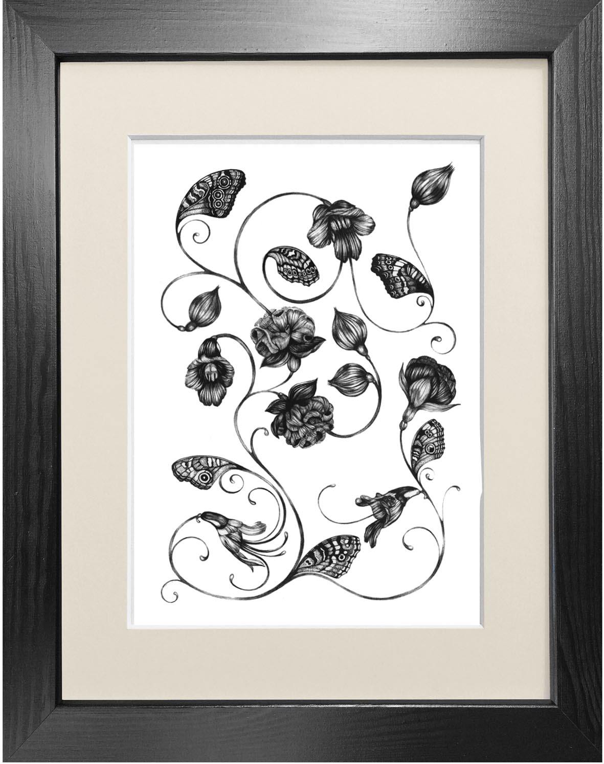 'Magellanicadoptera' Fine Art Print - Emily Carter London