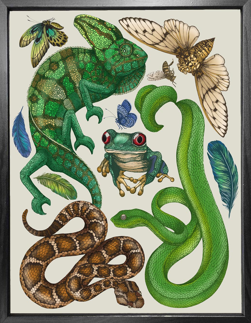 'Antique Reptiles & Amphibians - Cream' Fine Art Print