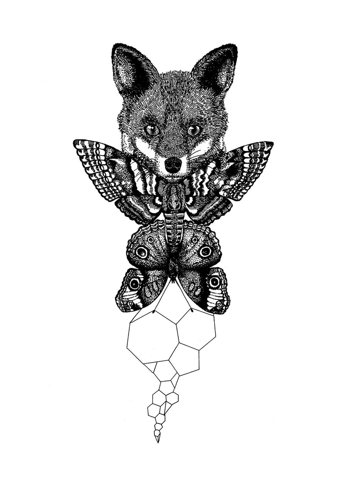 'The Fox' Fine Art Print - Emily Carter London