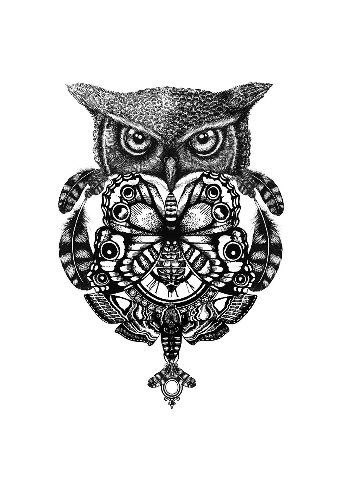 'The Owl & Pocket Watch' Fine Art Print - Emily Carter London