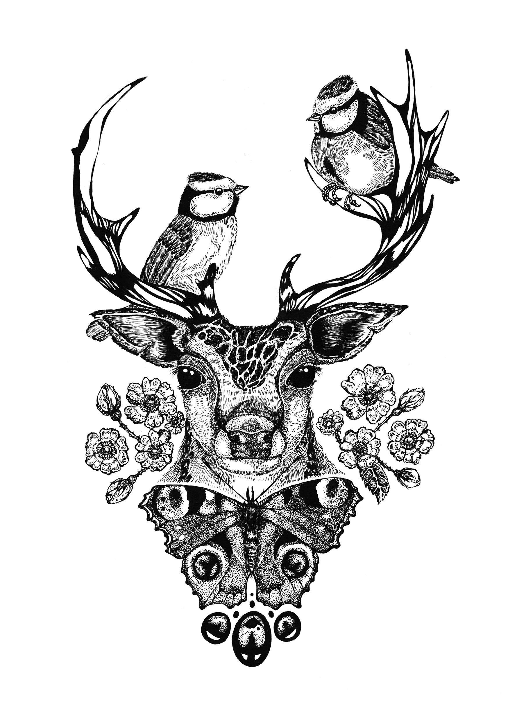 'The Roe Deer' Fine Art Print - Emily Carter London