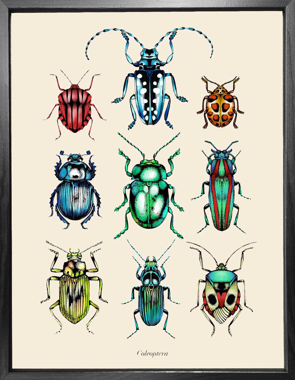 'Antique Tropical Beetles' Fine Art Print
