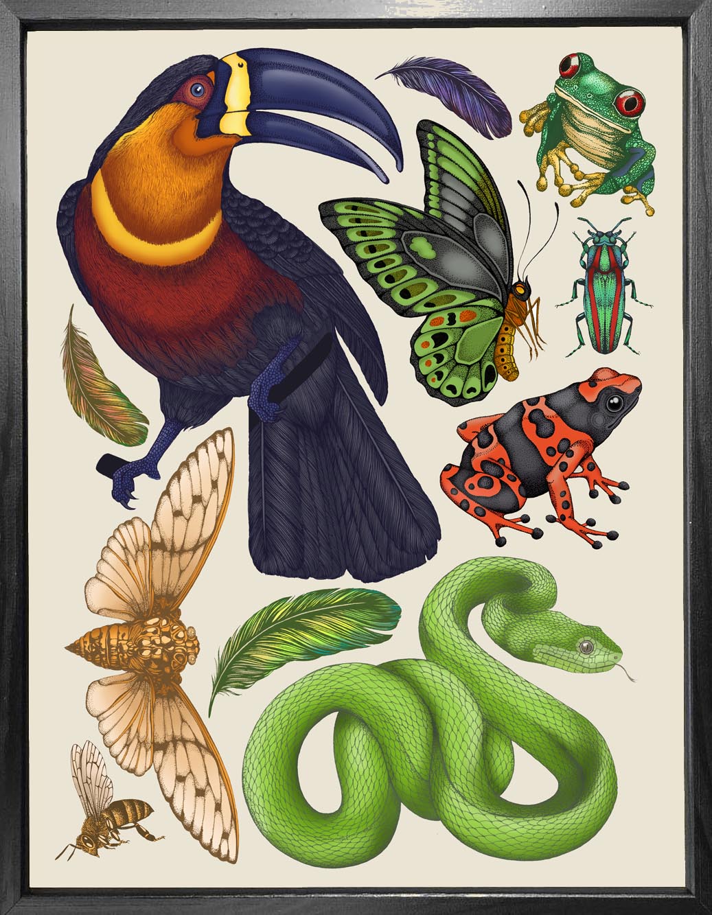 'Tropical Toucan' Fine Art Print