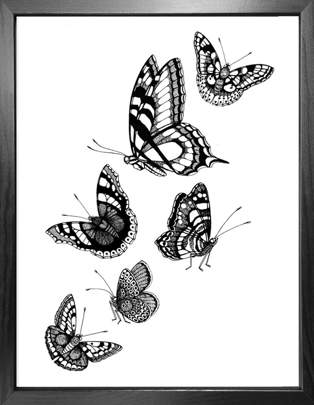 'British Butterflies' Fine Art Print