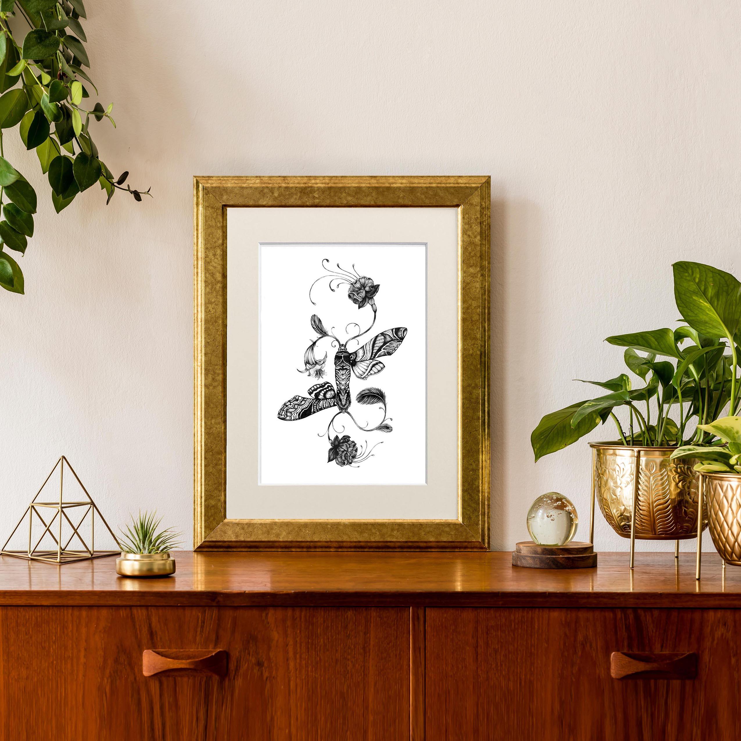 'Fuchsiadoptera' Fine Art Print - Emily Carter London