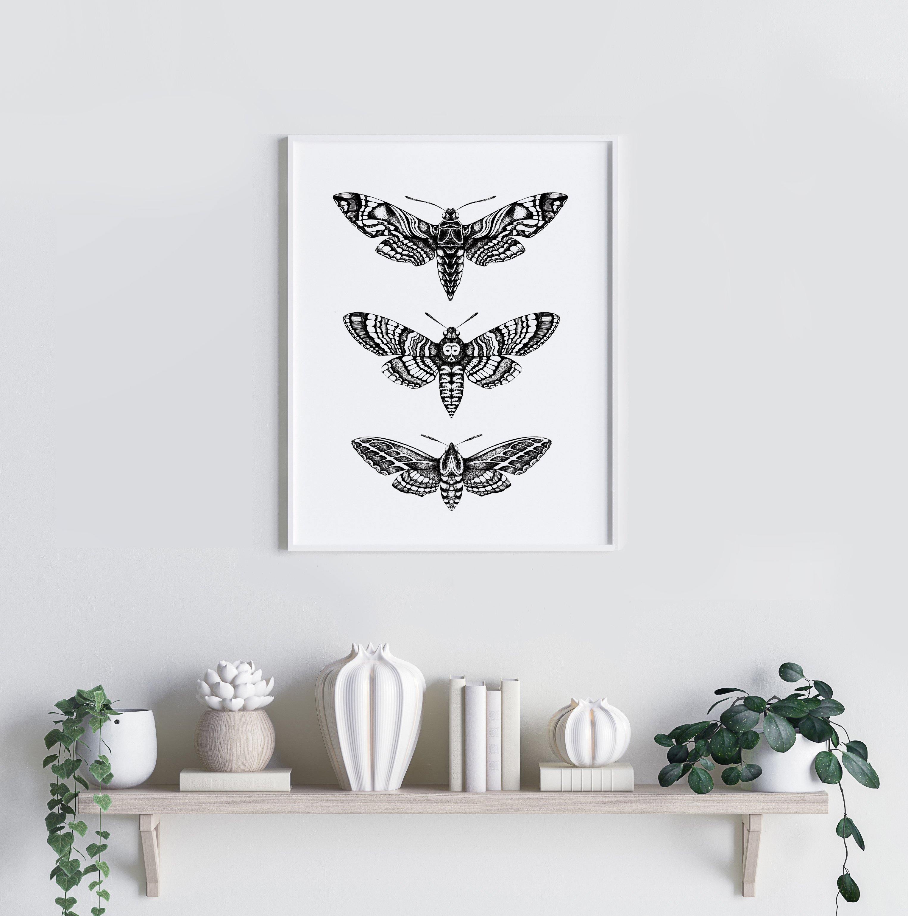 'Hawk Moths' Fine Art Print - Emily Carter London