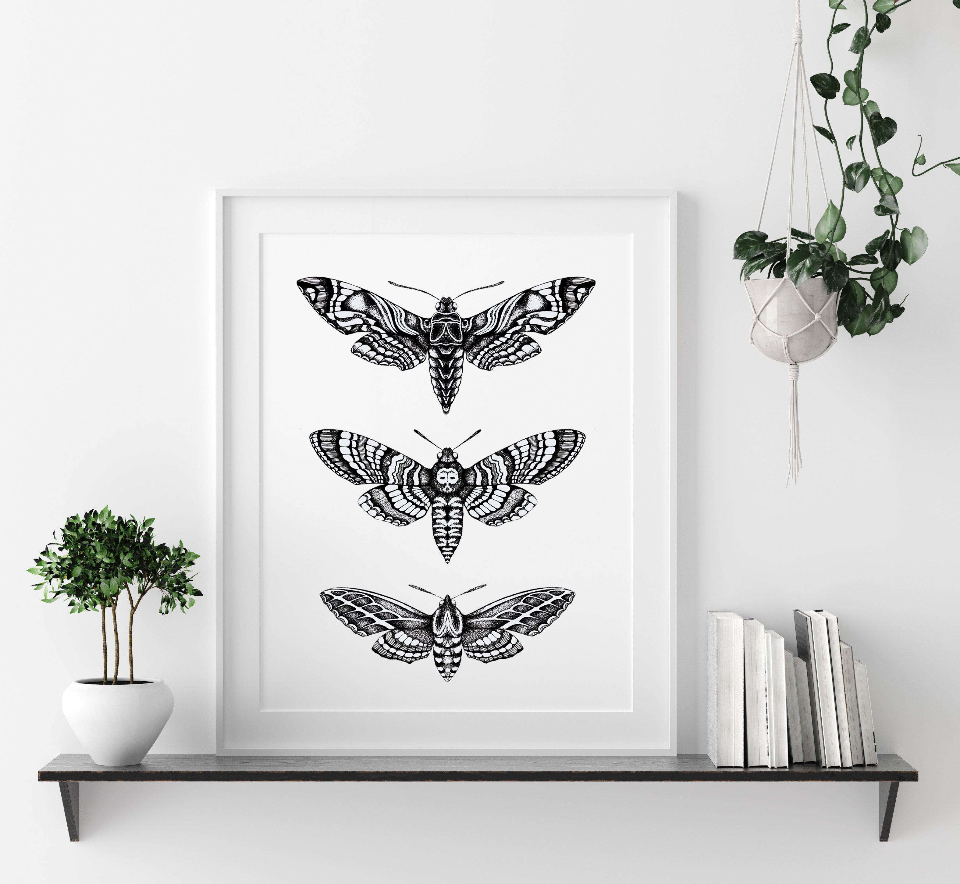 'Hawk Moths' Fine Art Print - Emily Carter London