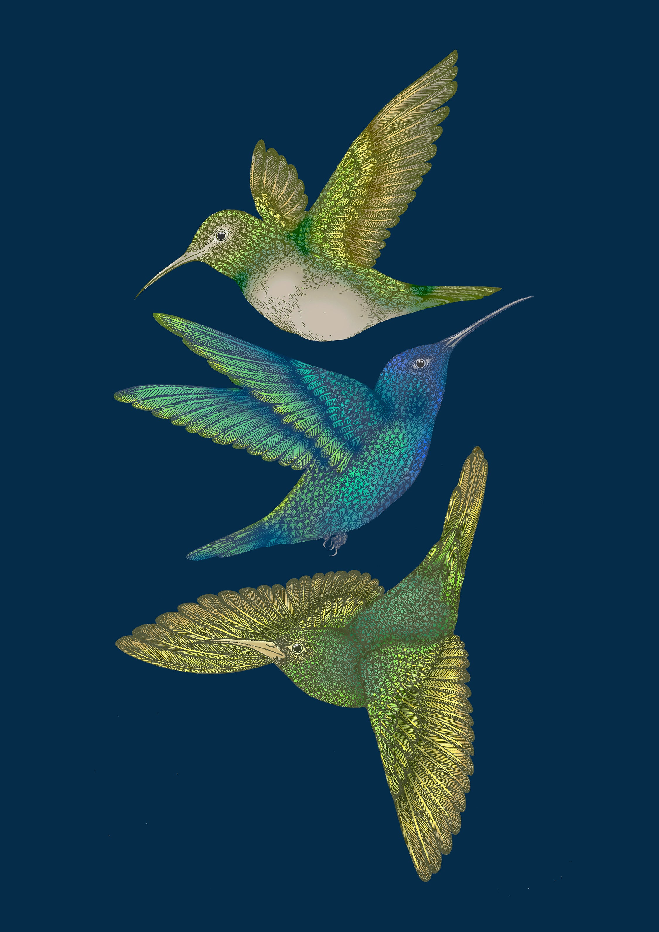 Antique Hummingbirds III' Giclée Print A2 - Limited Edition