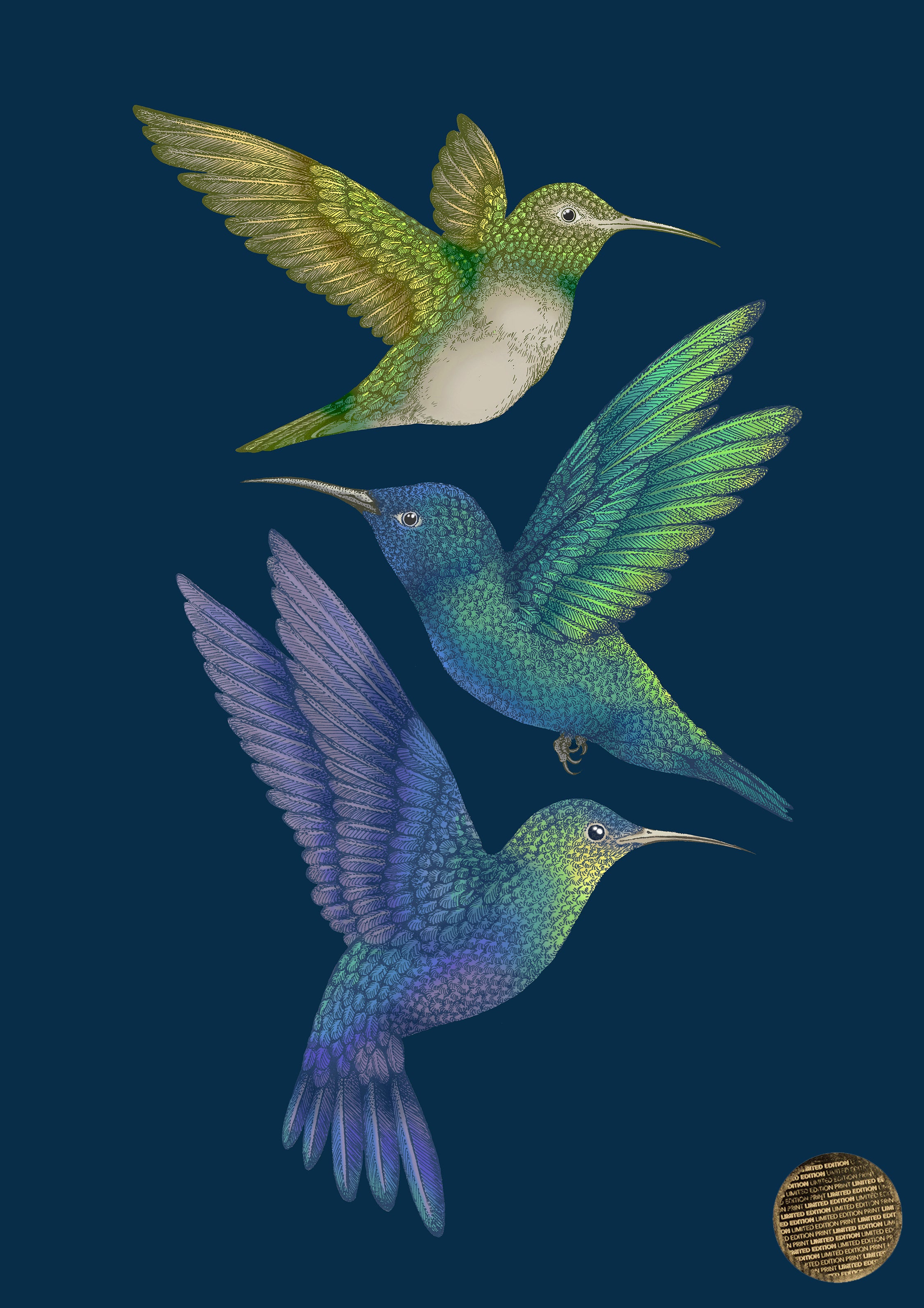 Antique Hummingbirds II' Giclée Print A2 - Limited Edition