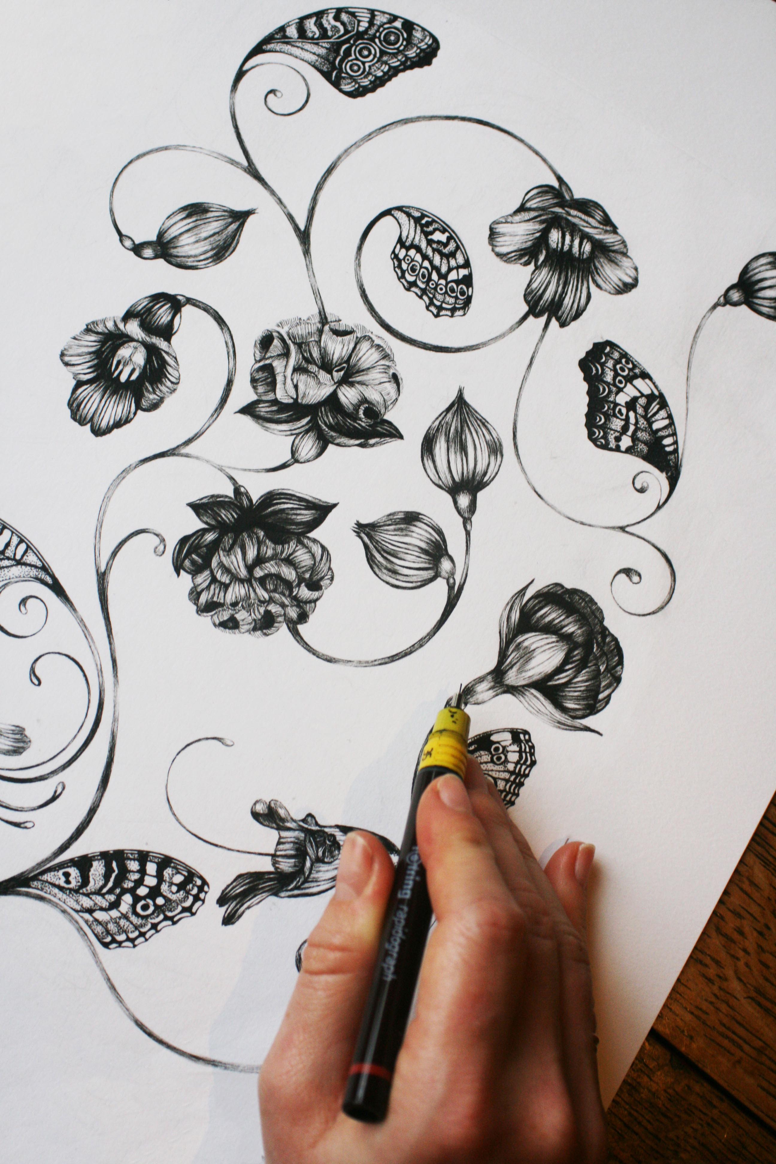 'Magellanicadoptera' Fine Art Print