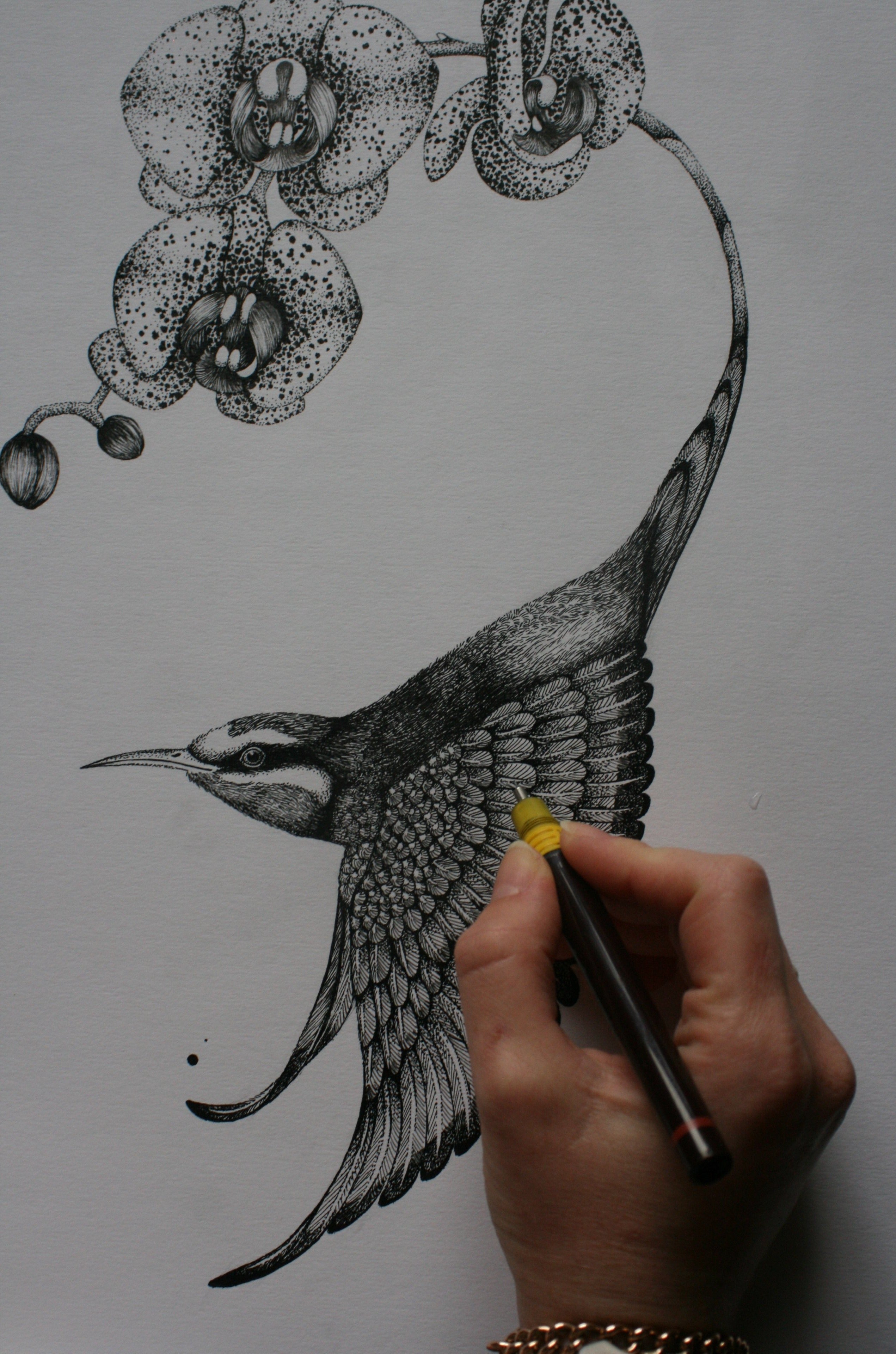 'Apiaster Orchidae' Fine Art Print