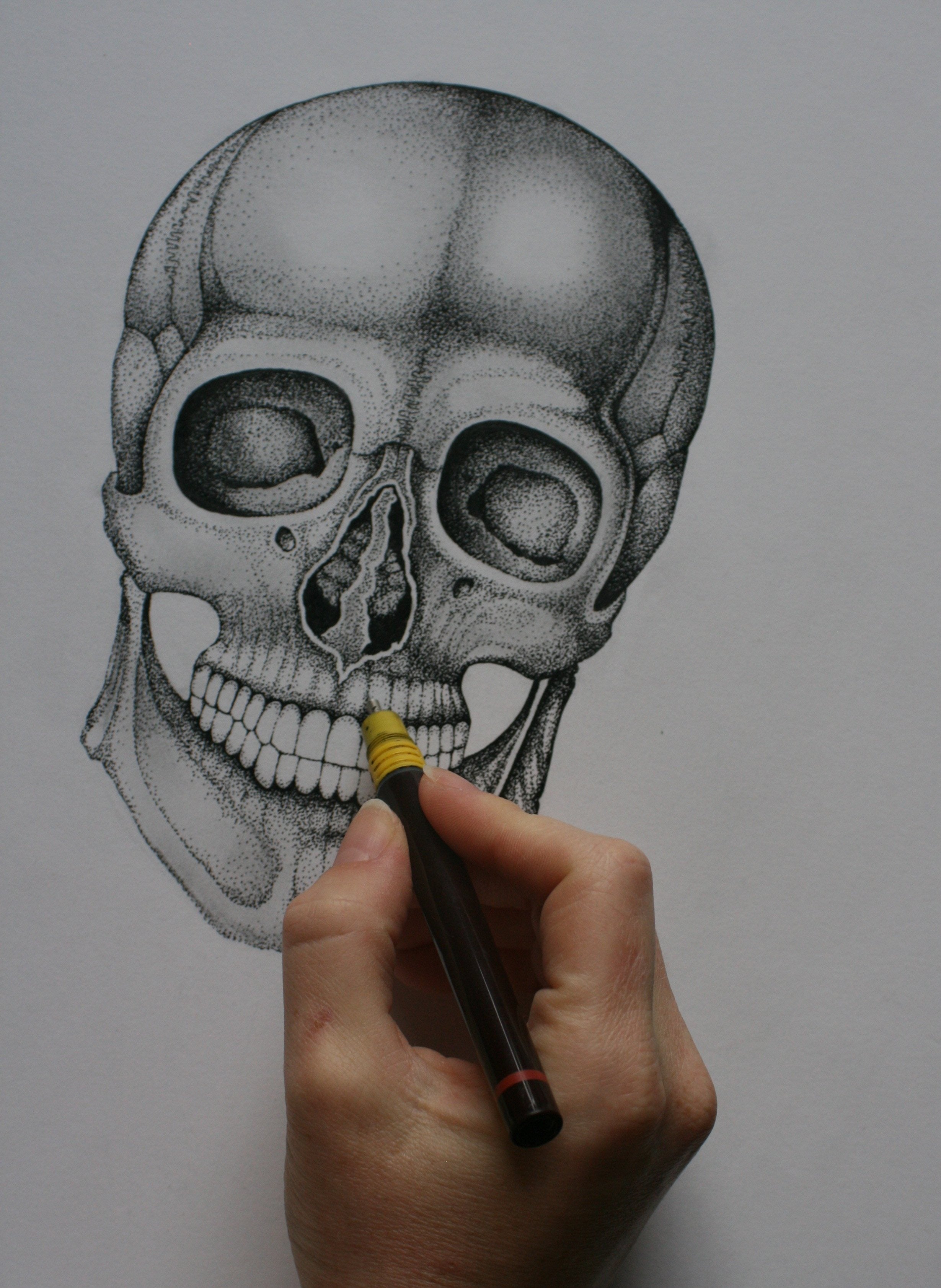 'Death's Head' Fine Art Print