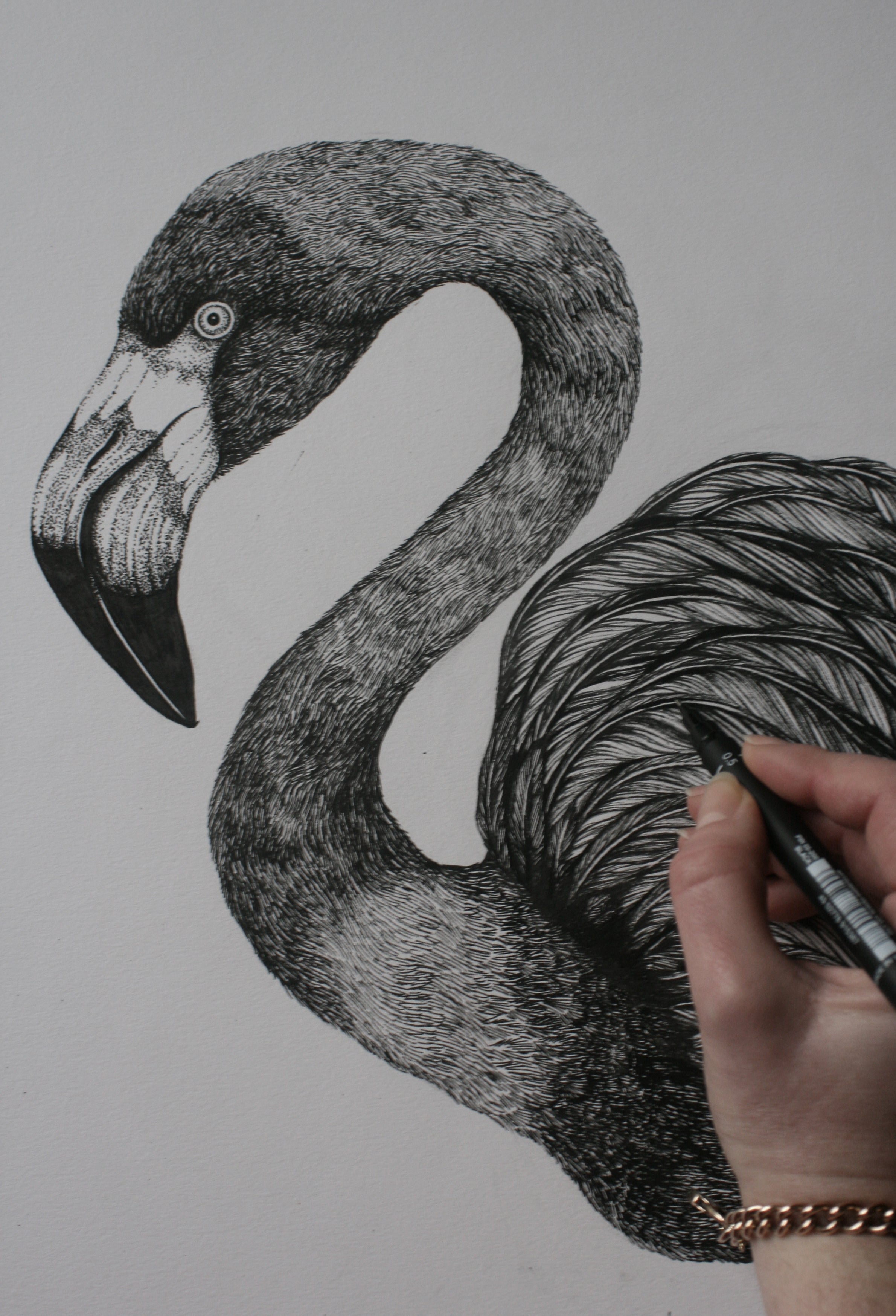 'Antique Flamingo II' Fine Art Print