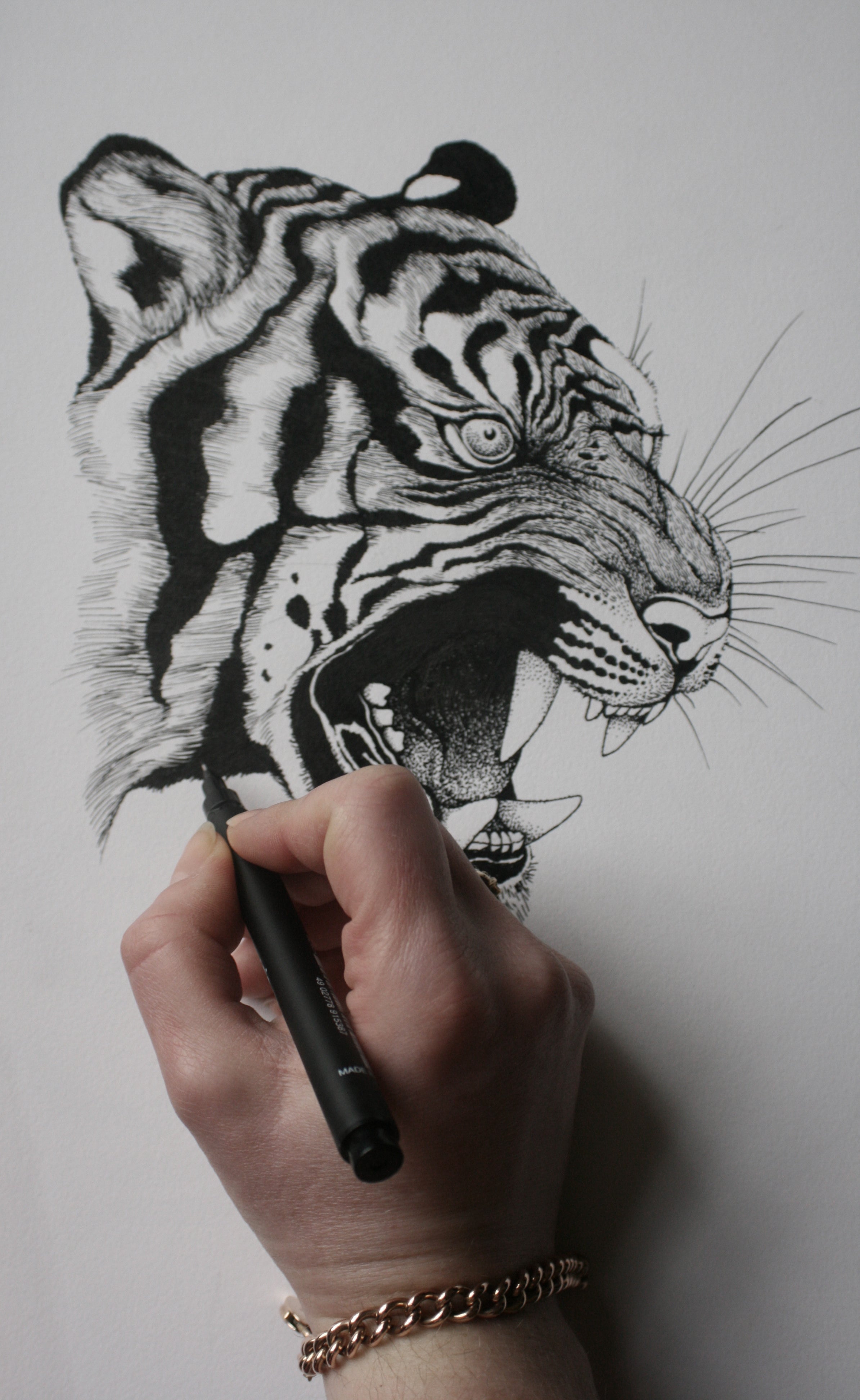 'Baroque Tiger' Fine Art Print
