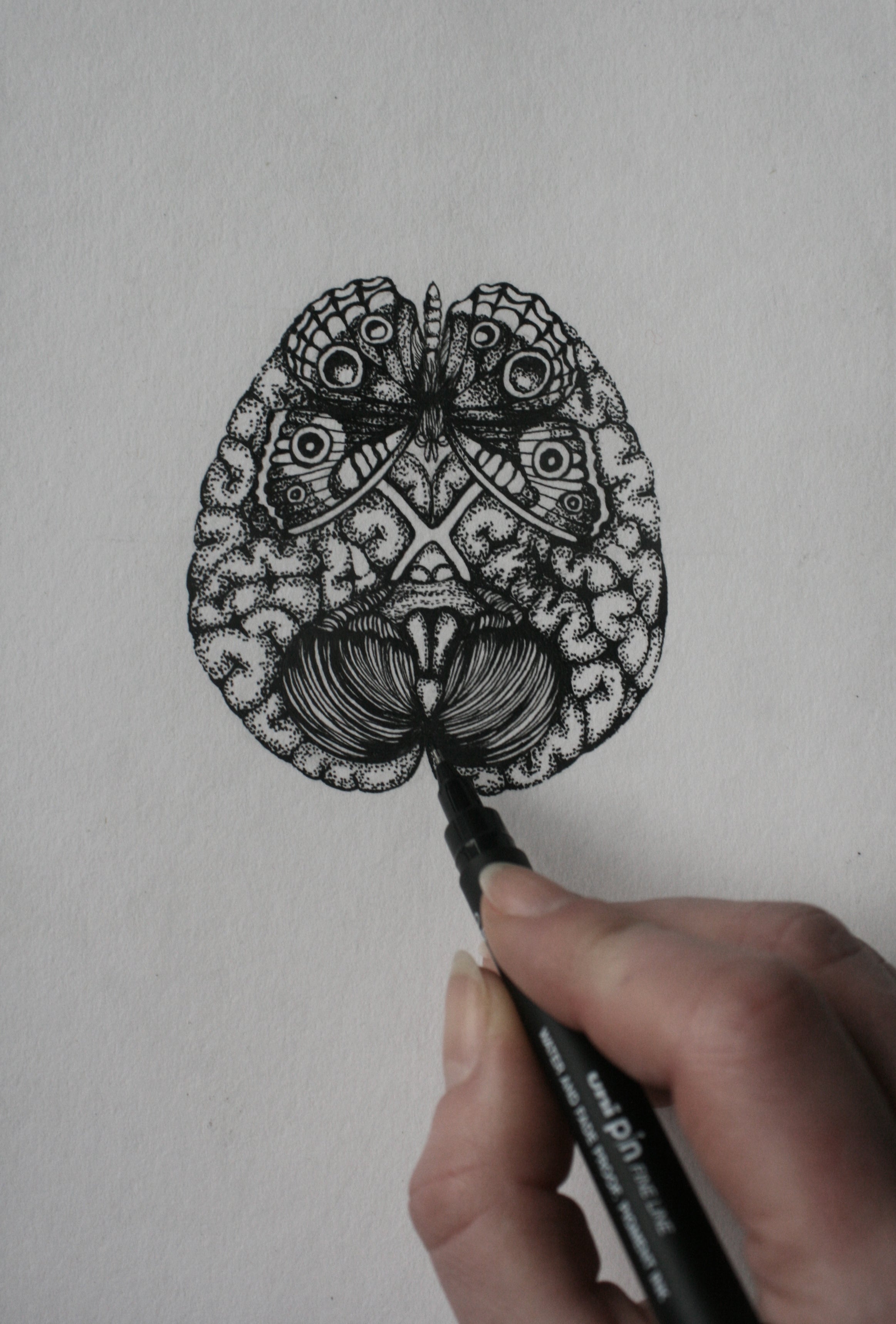 'Cerebellum' Fine Art Print