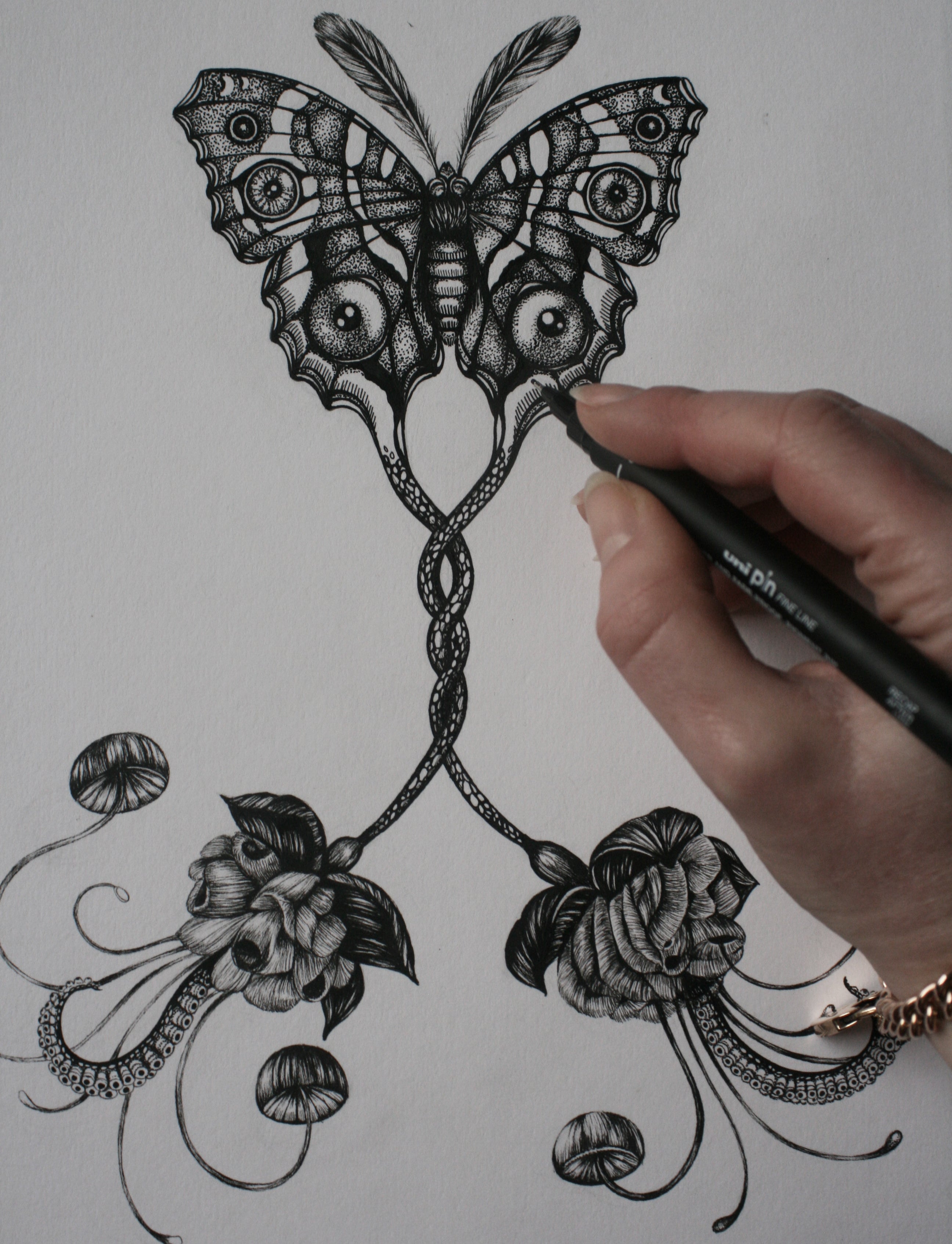 'Coenia Oculus' Fine Art Print