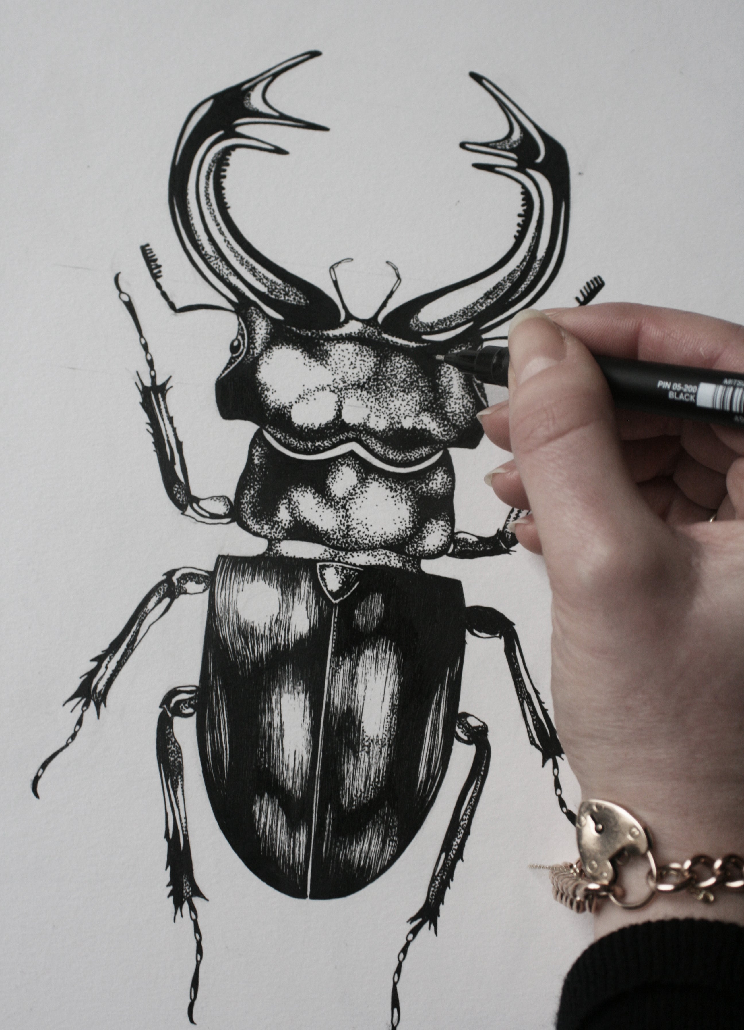 'The Stag Beetle' Fine Art Print