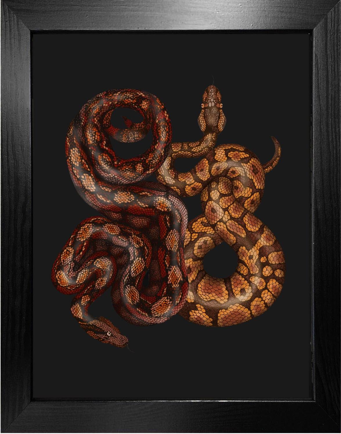 Antique Python & Viper Fine Art Print - Emily Carter London