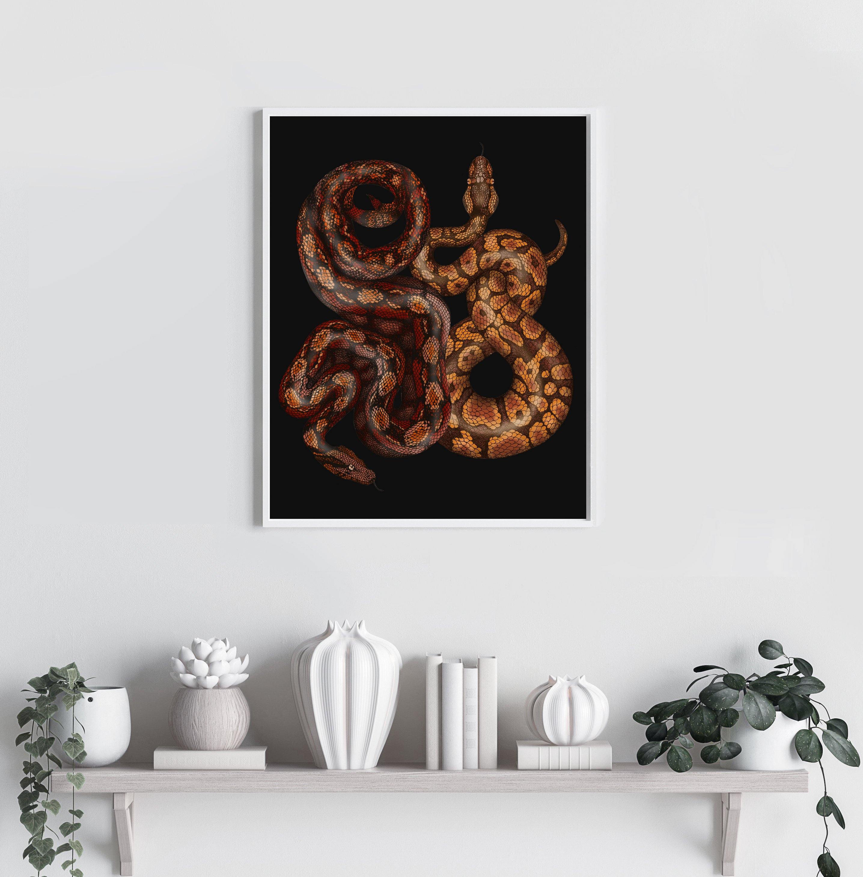 Antique Python & Viper Fine Art Print - Emily Carter London