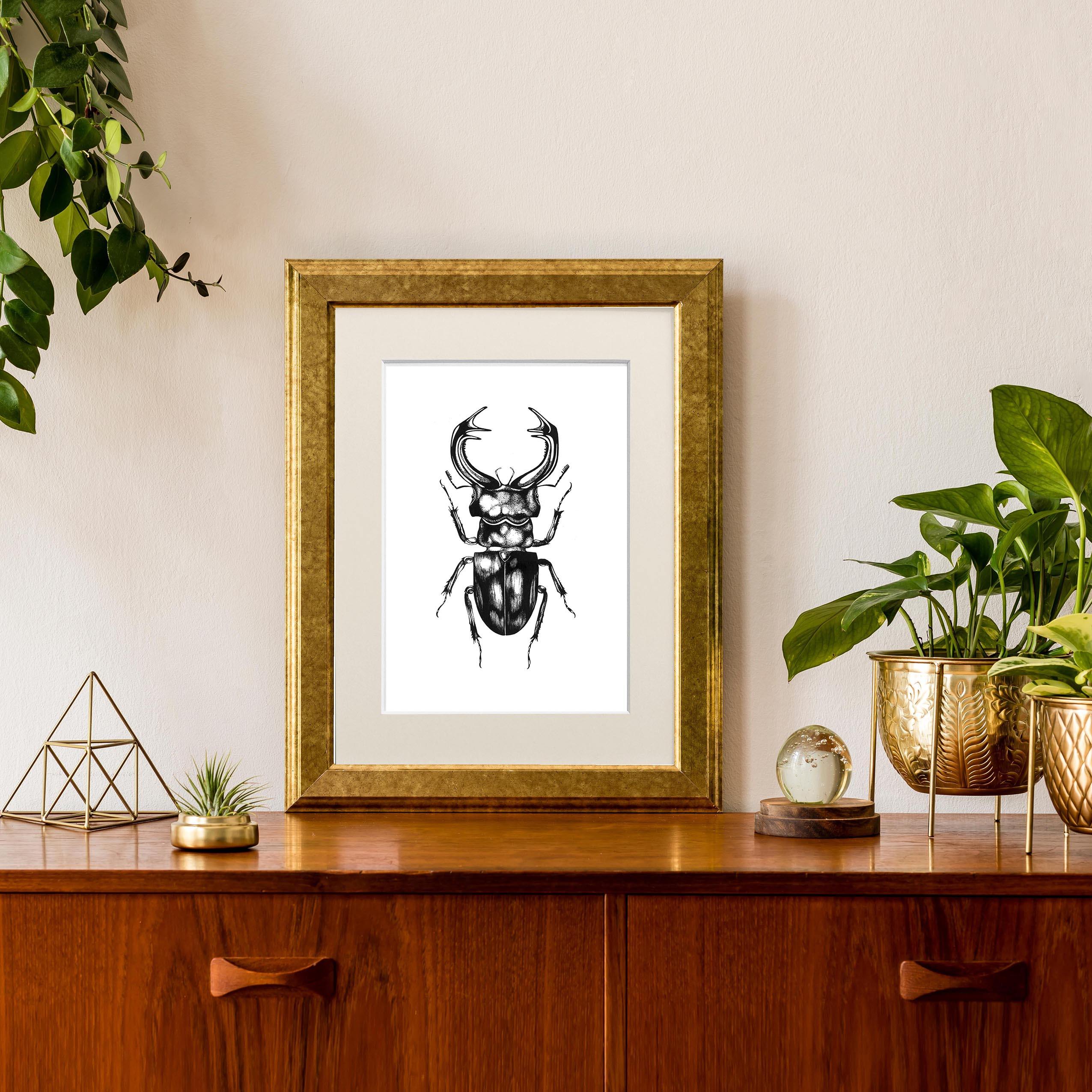 'The Stag Beetle' Fine Art Print - Emily Carter London